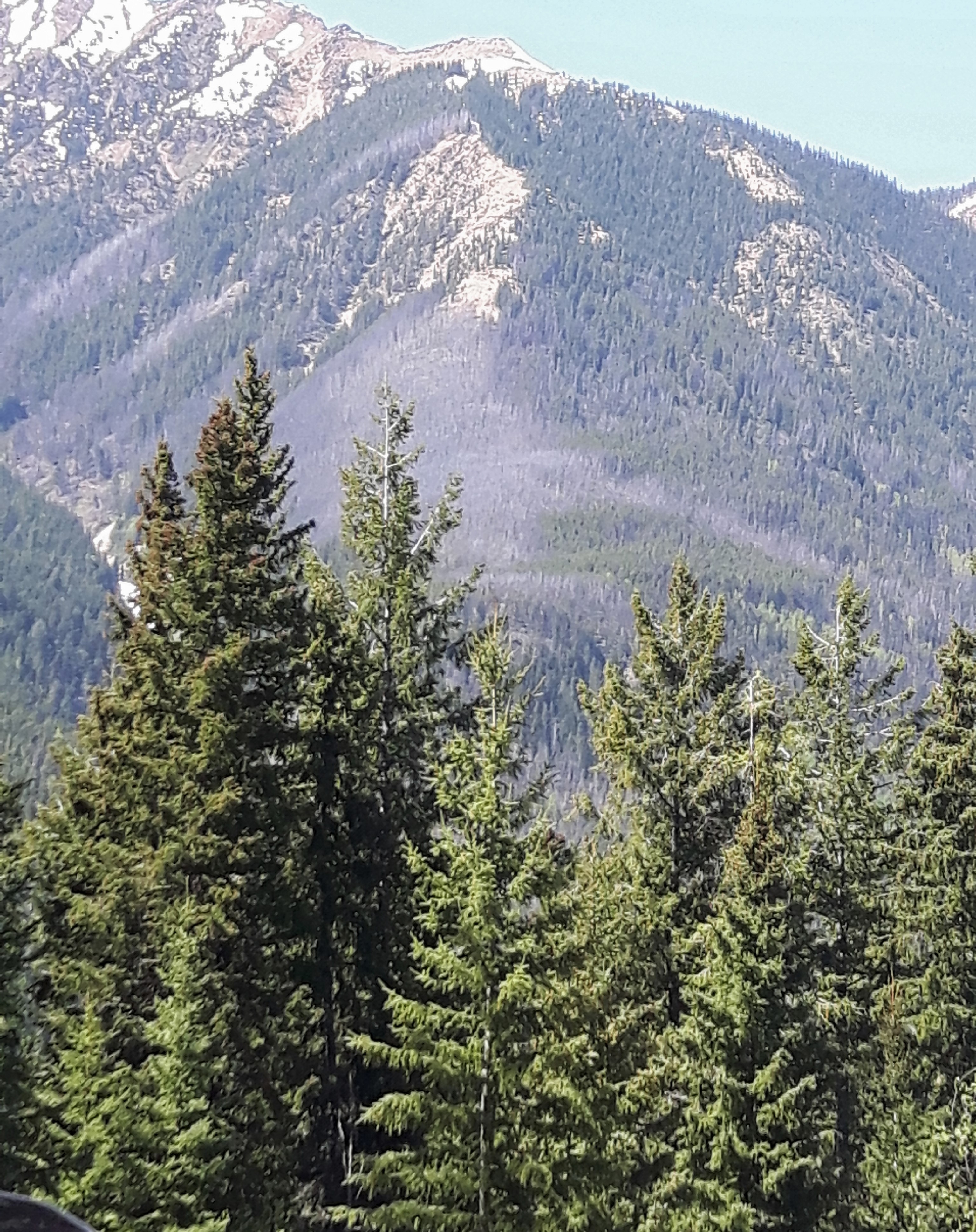 When driving through the Canadian Rockies, have a paper map as cell service is not guaranteed