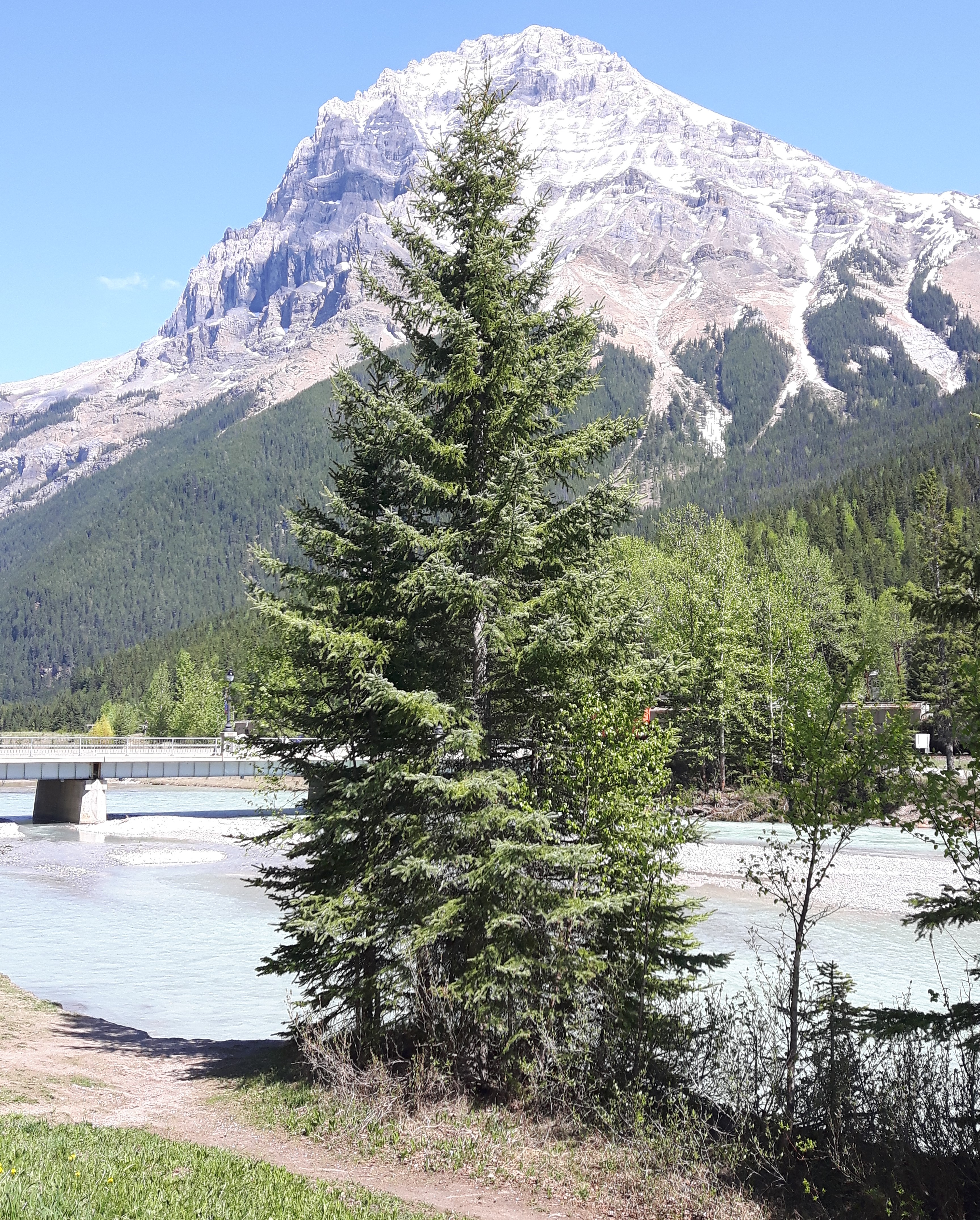 A drive through the Canadian Rockies from Vancouver to Banff is quite an adventure