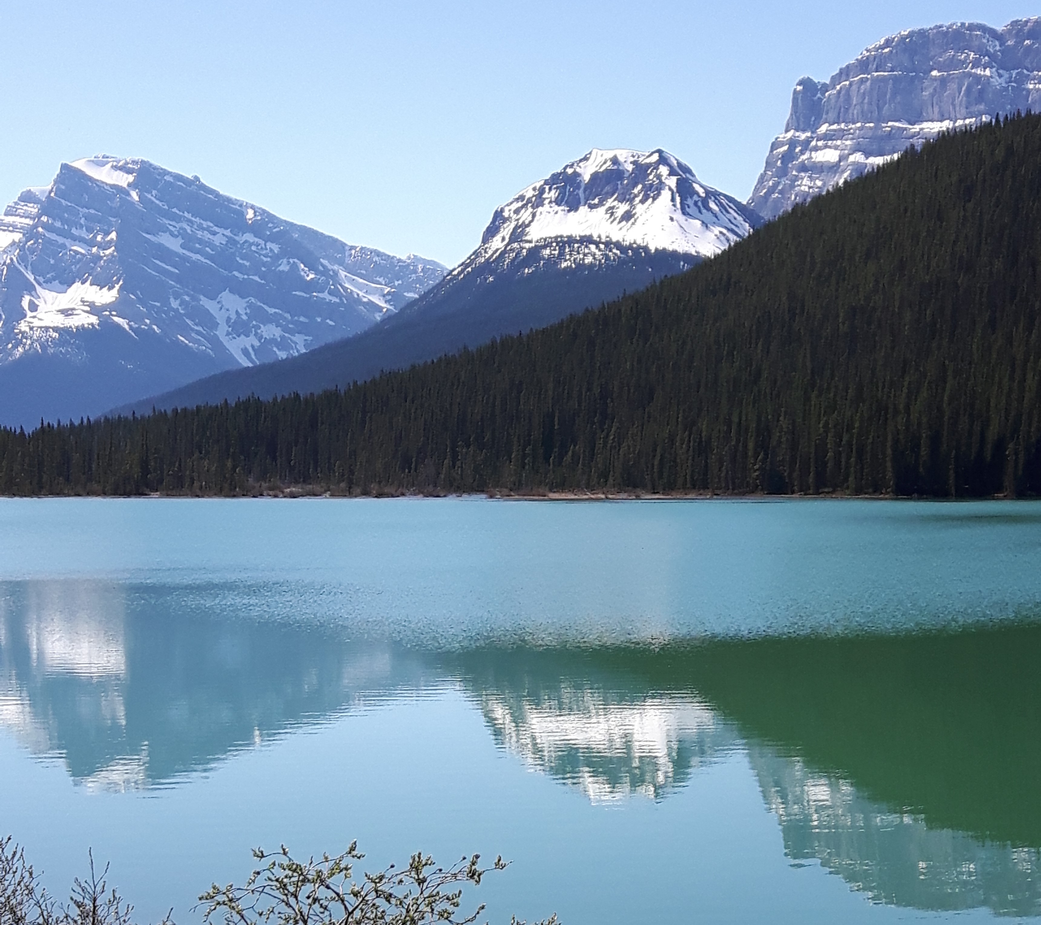 Bow Lake