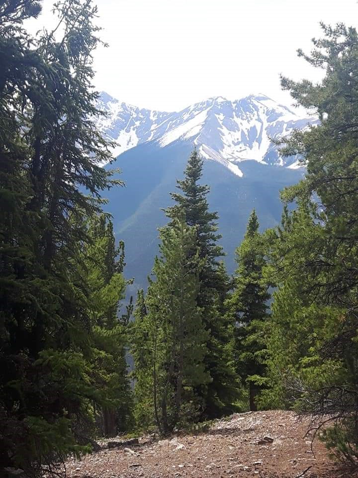 There is nothing quite like the scenery when driving through the Canadian Rockies