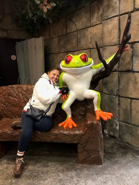 Rain Forest Cafe is the perfect spot to grab lunch when travelling with children