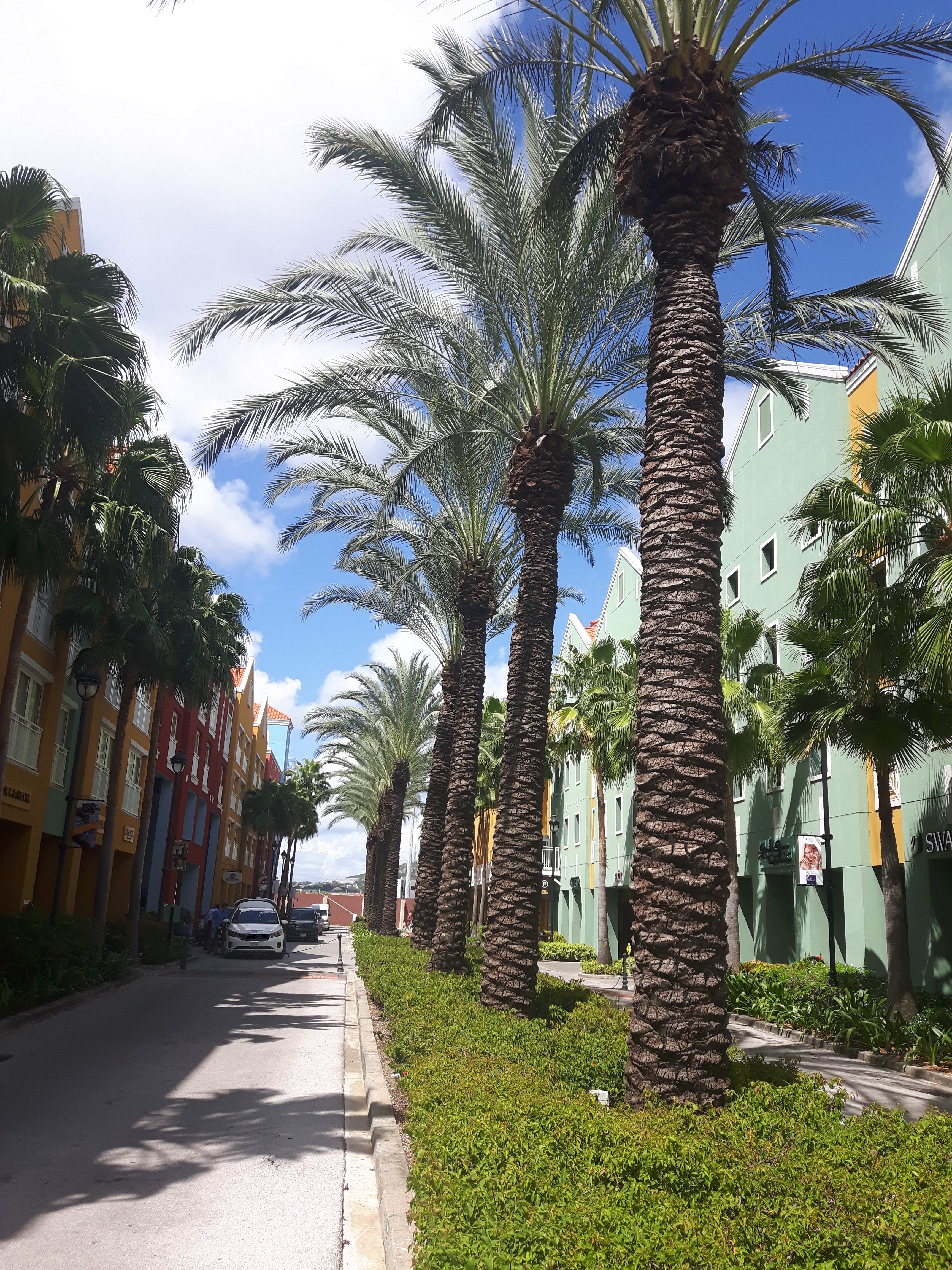 Wandering the beautiful grounds of Renaissance Resort and Casino Curacao is one of the many things to do when visiting Curacao