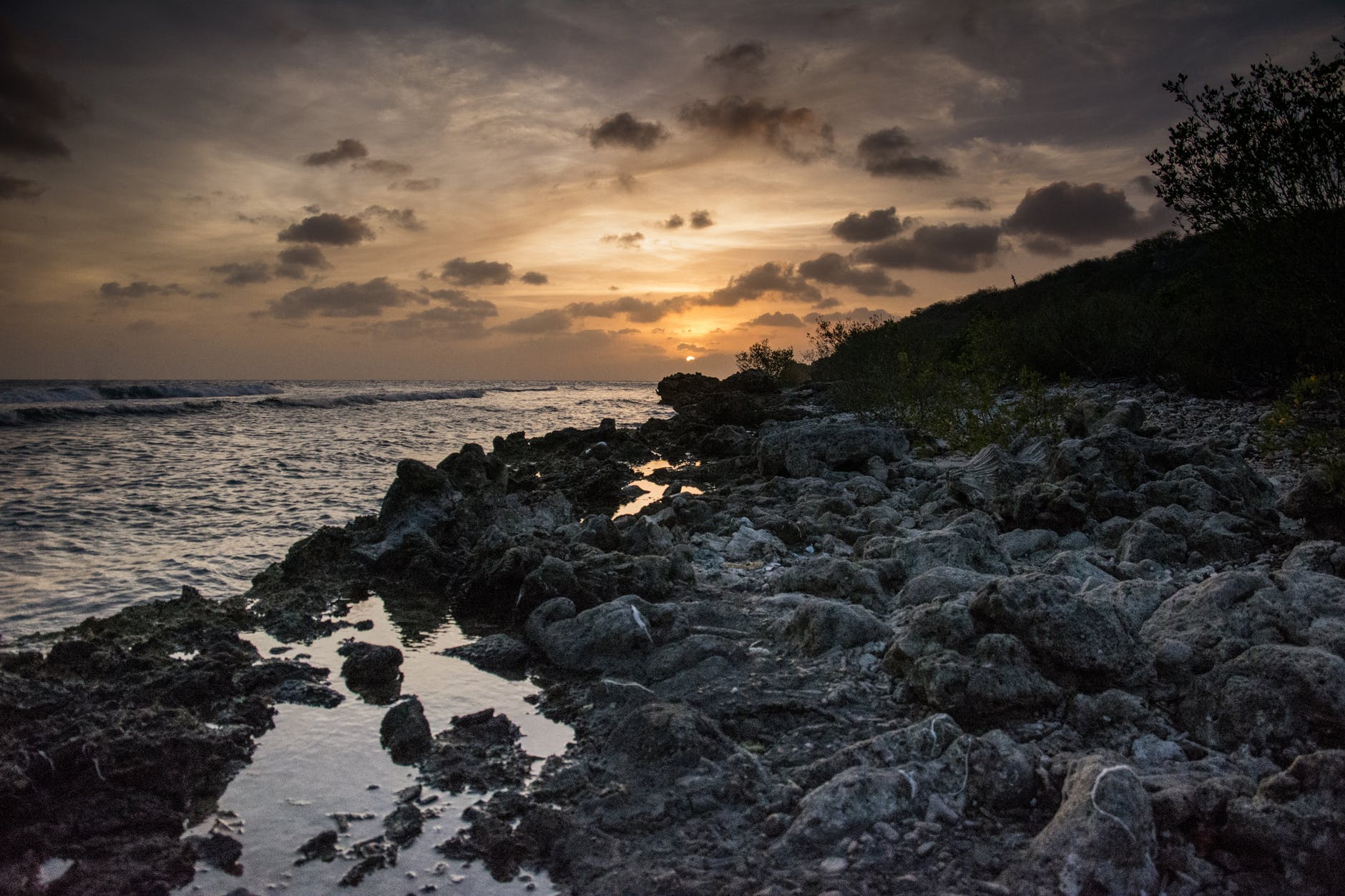 take in the beauty of the rocky shoreline while taking a road trip around the island of Curacao