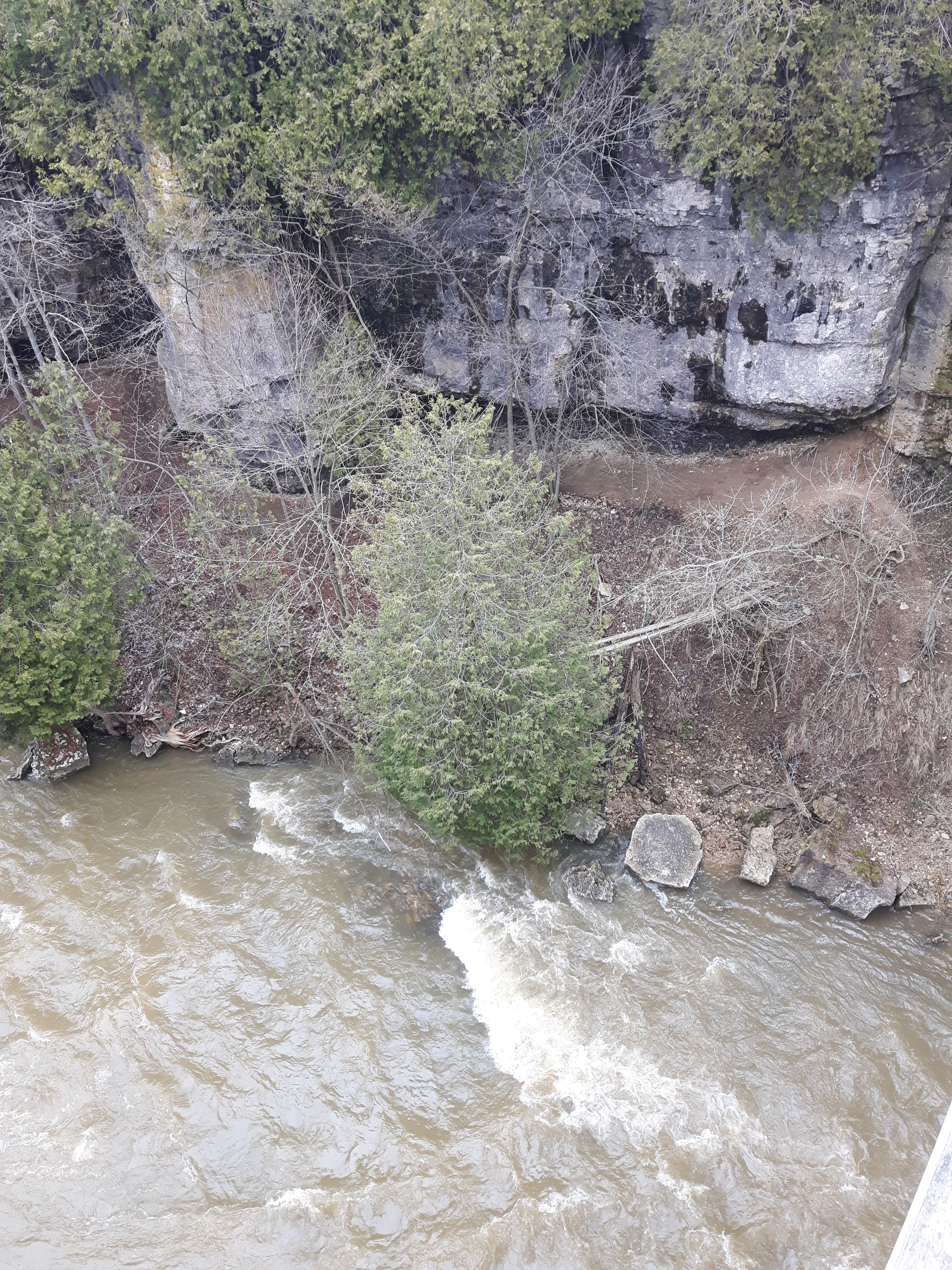 Elora Gorge in Elora, Ontario offers some epic hiking trails and amazing views