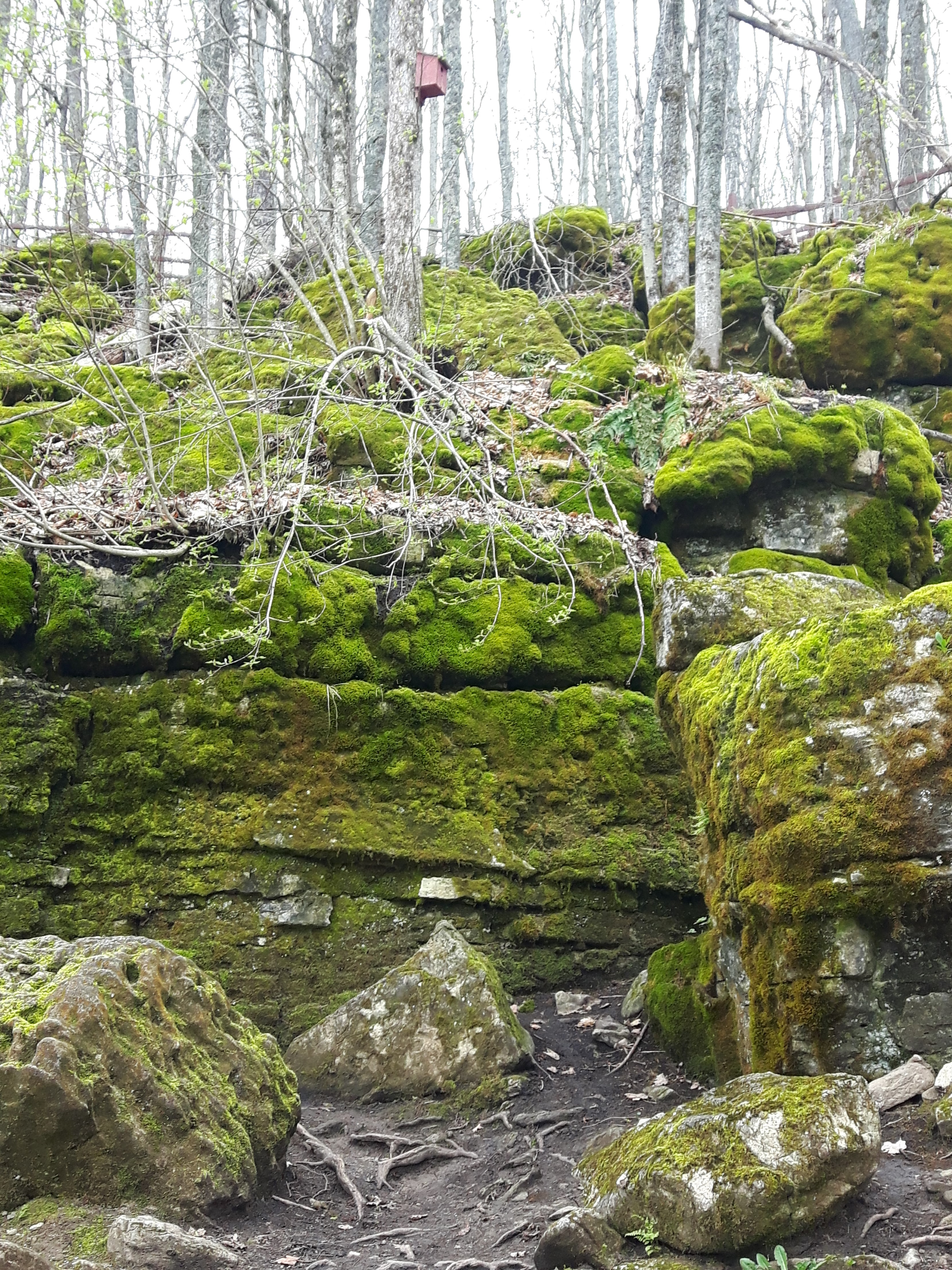 explore-scenic-caves-blue-mountain-ontario-tourist-town