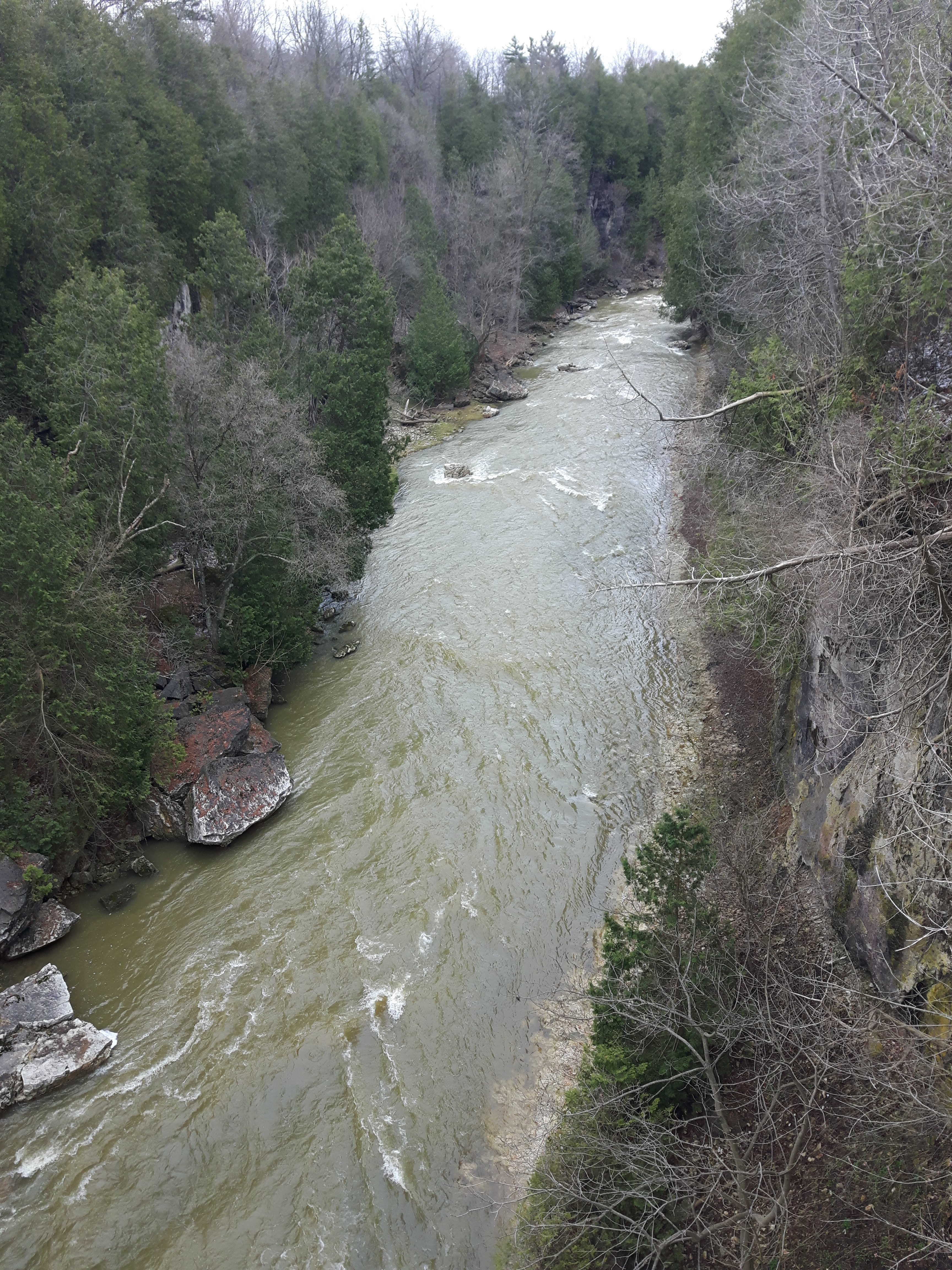 Elora Gorge is a popular tourist destination in Ontario