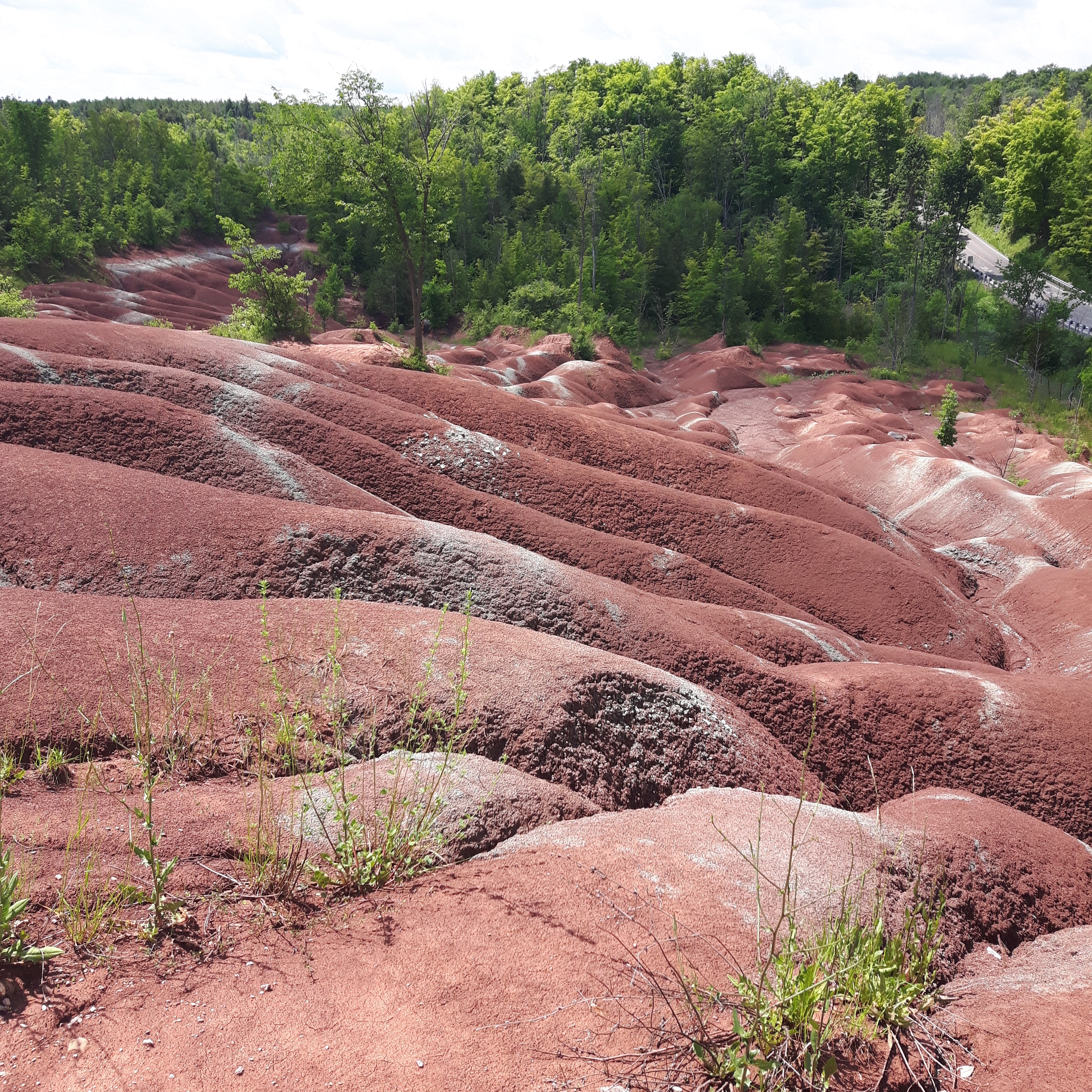 The Cheltenham Badlands in Caledon, Ontario is a geological gem and a fun activity when visiting Ontario