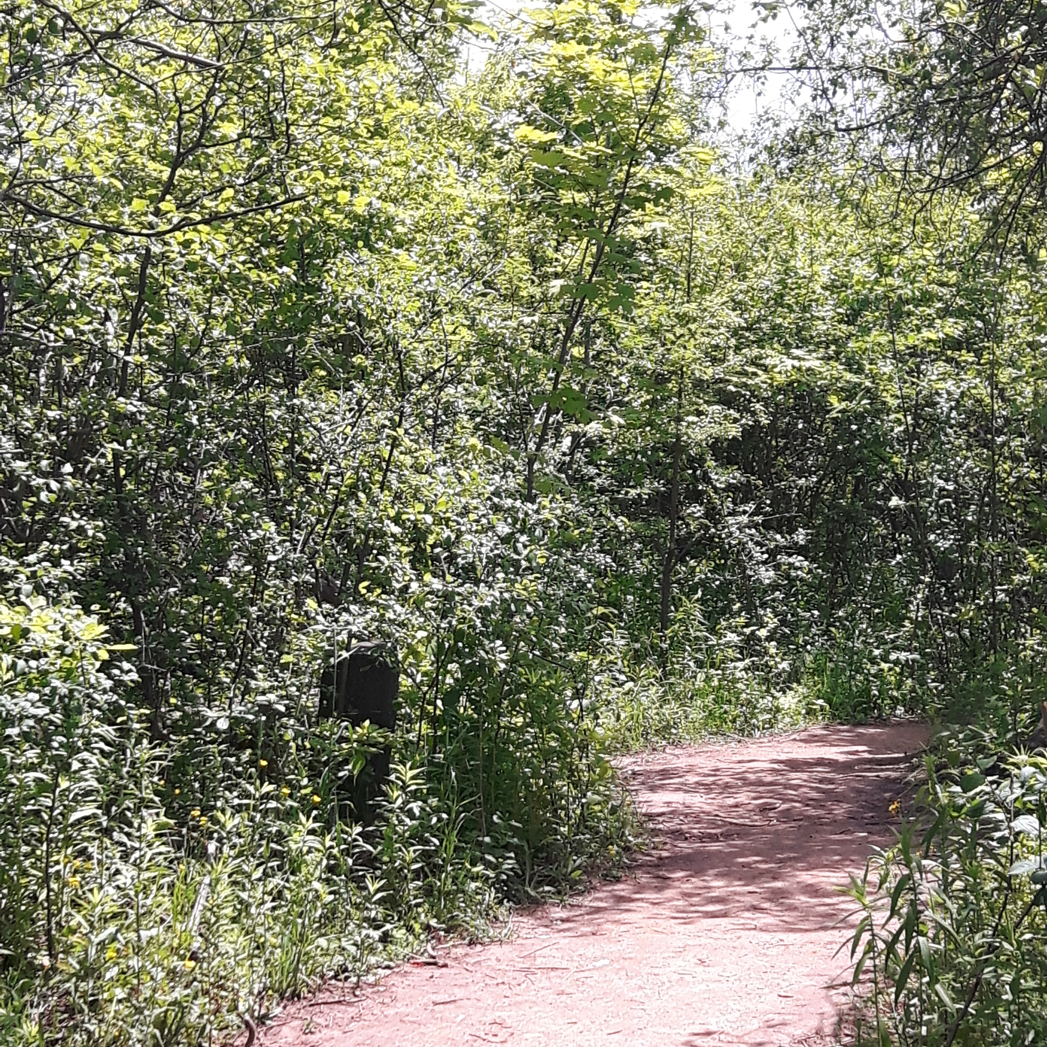 Access the Bruce Trail from the Cheltenham Badlands in Caledon, Ontario