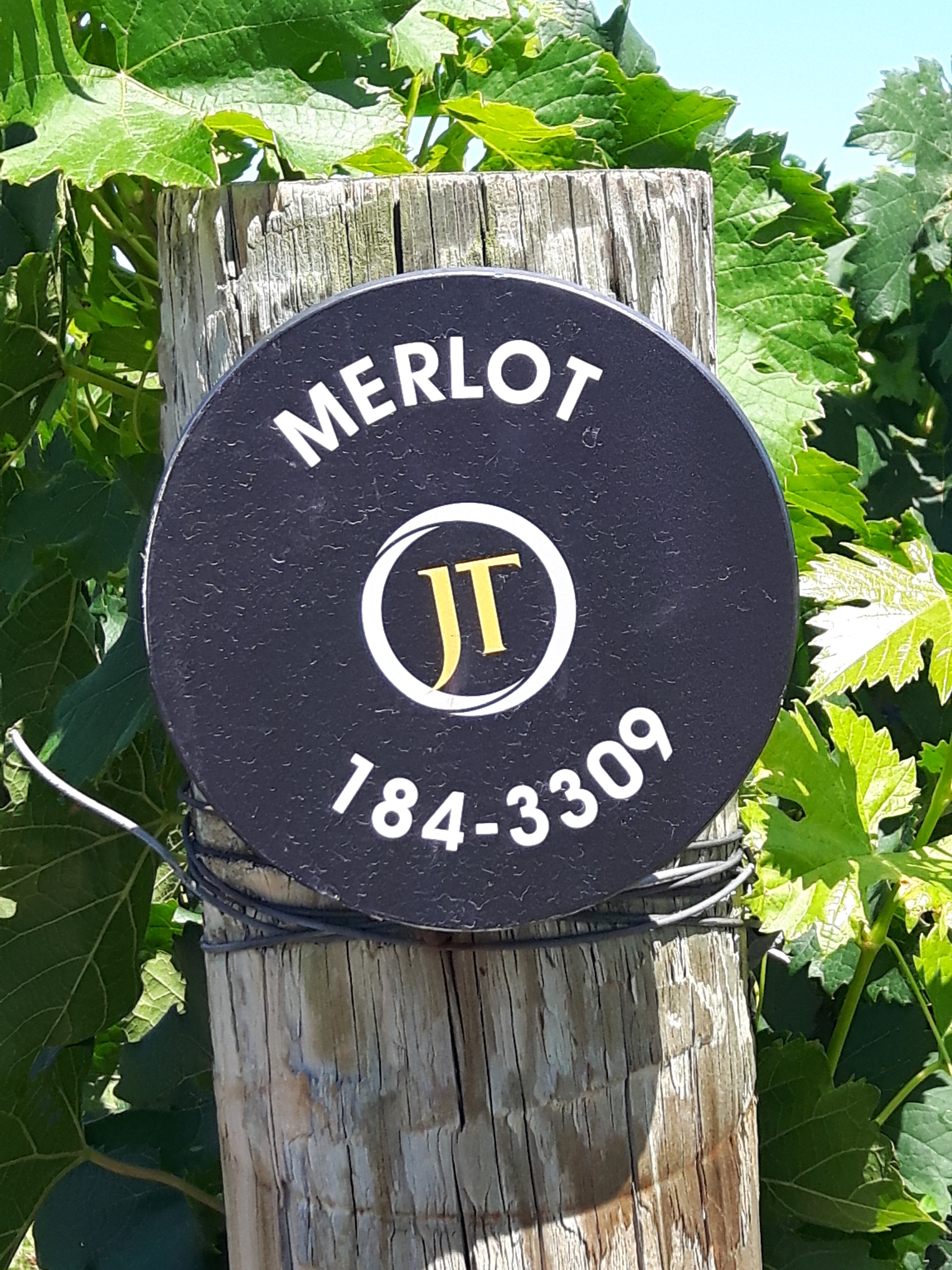 The Merlot at Jackson Triggs is just one of the many wines you will find at this winery in Niagara on the Lake