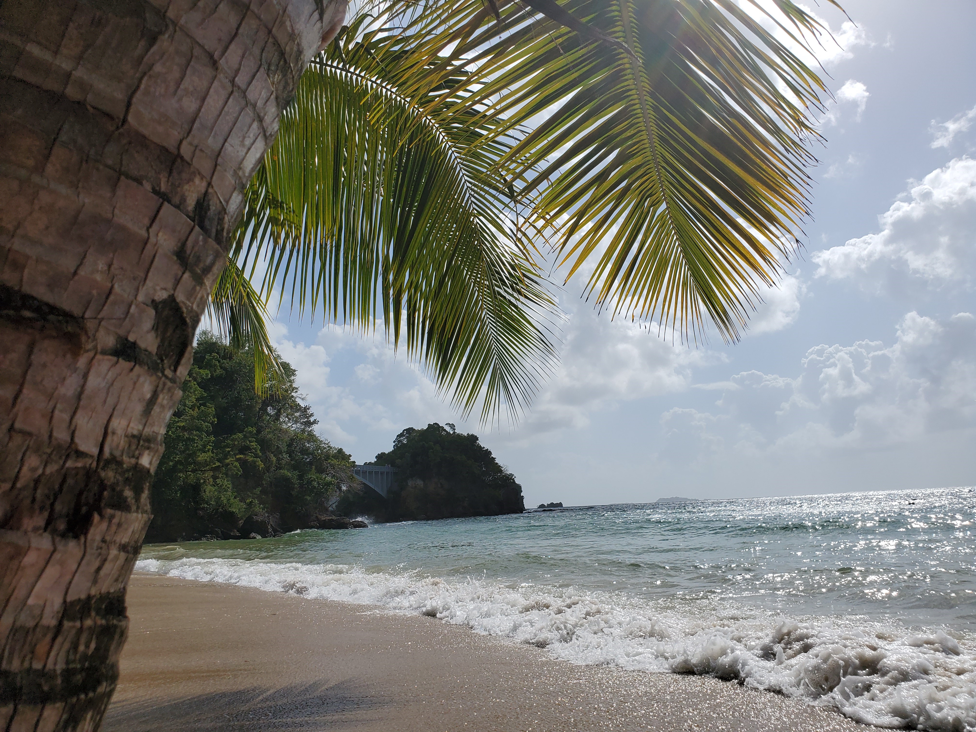 Relax at under the palm trees at the beautiful Bahia Principe Cayacoa Resort in Samana, Dominican Republic