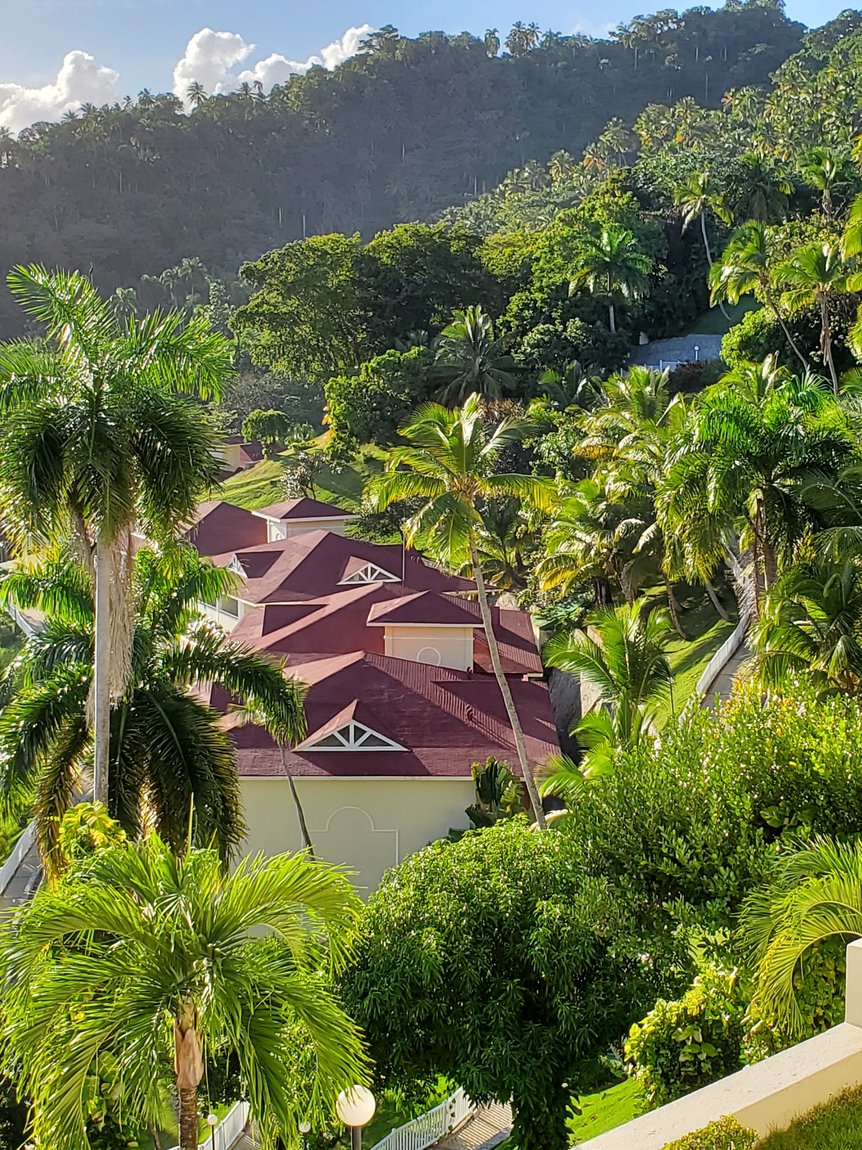 There are a lot of stairs at the Bahia Principe Cayacoa which makes it difficult for people with disabilities