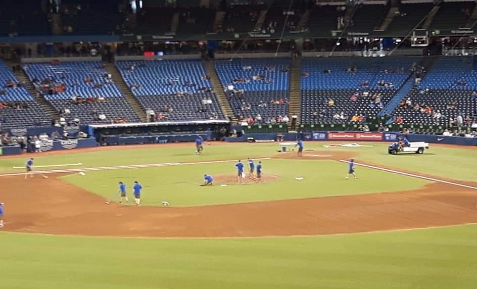 Preparing the Baseball Field at the Rogers Center