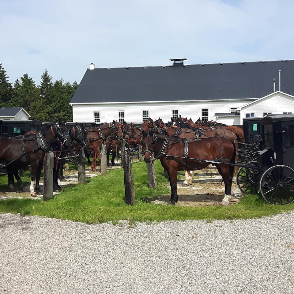 You will be taken back in time when exploring Waterloo Region.  See the culture of the Mennonite Community