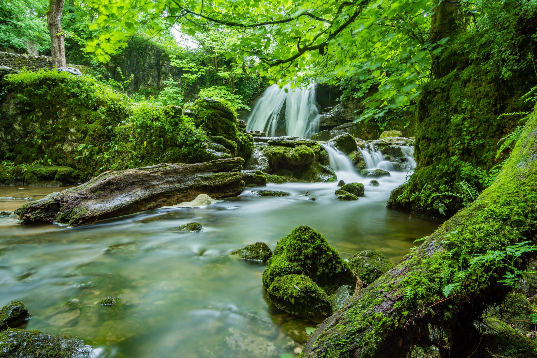 Hamilton is know to be the waterfall capital, offering the nature lover over 100 waterfalls to seek out