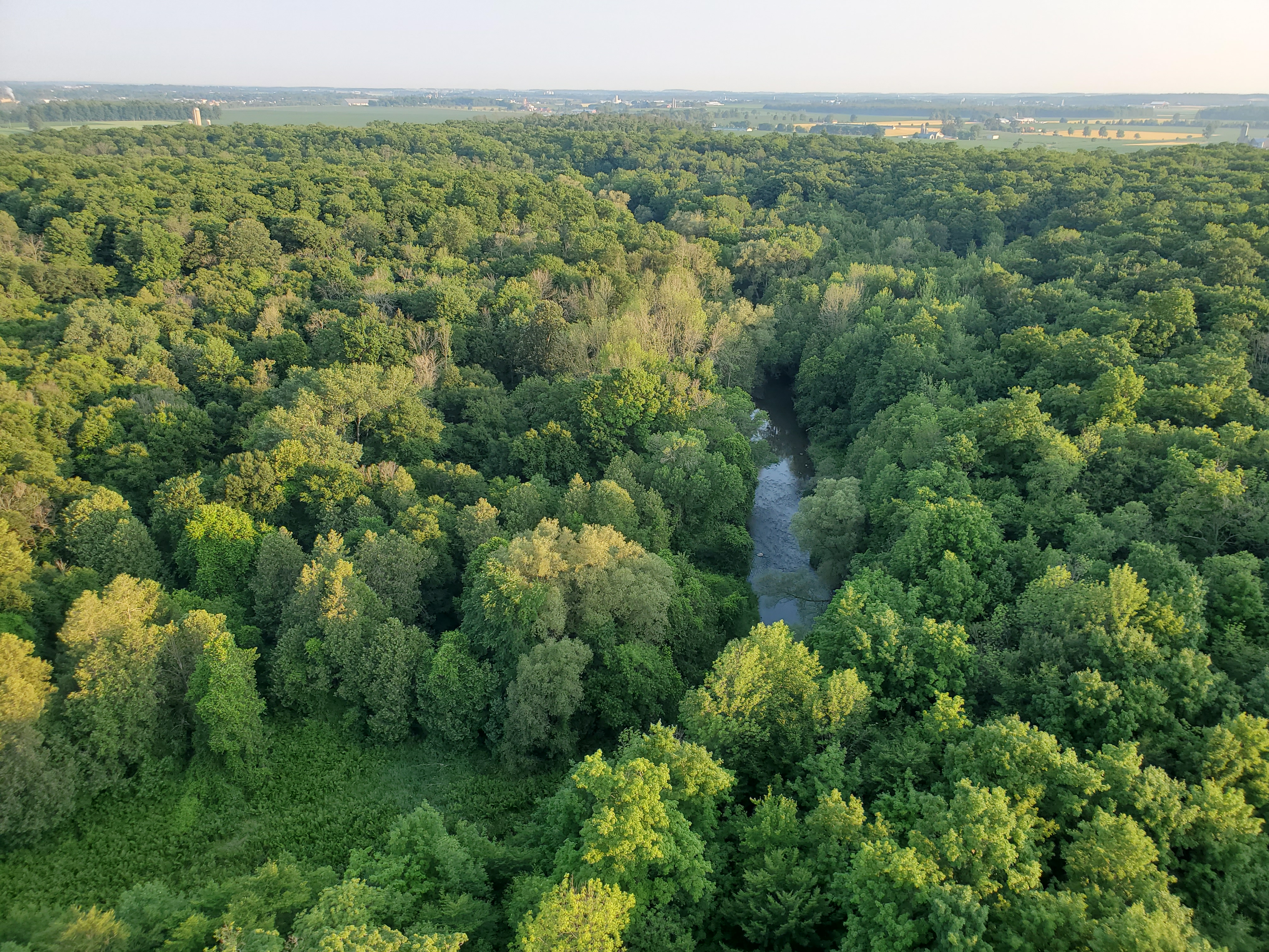 Expect to do some tree topping and water dipping during a hot air balloon ride with Sundance Balloons in the Region of Waterloo