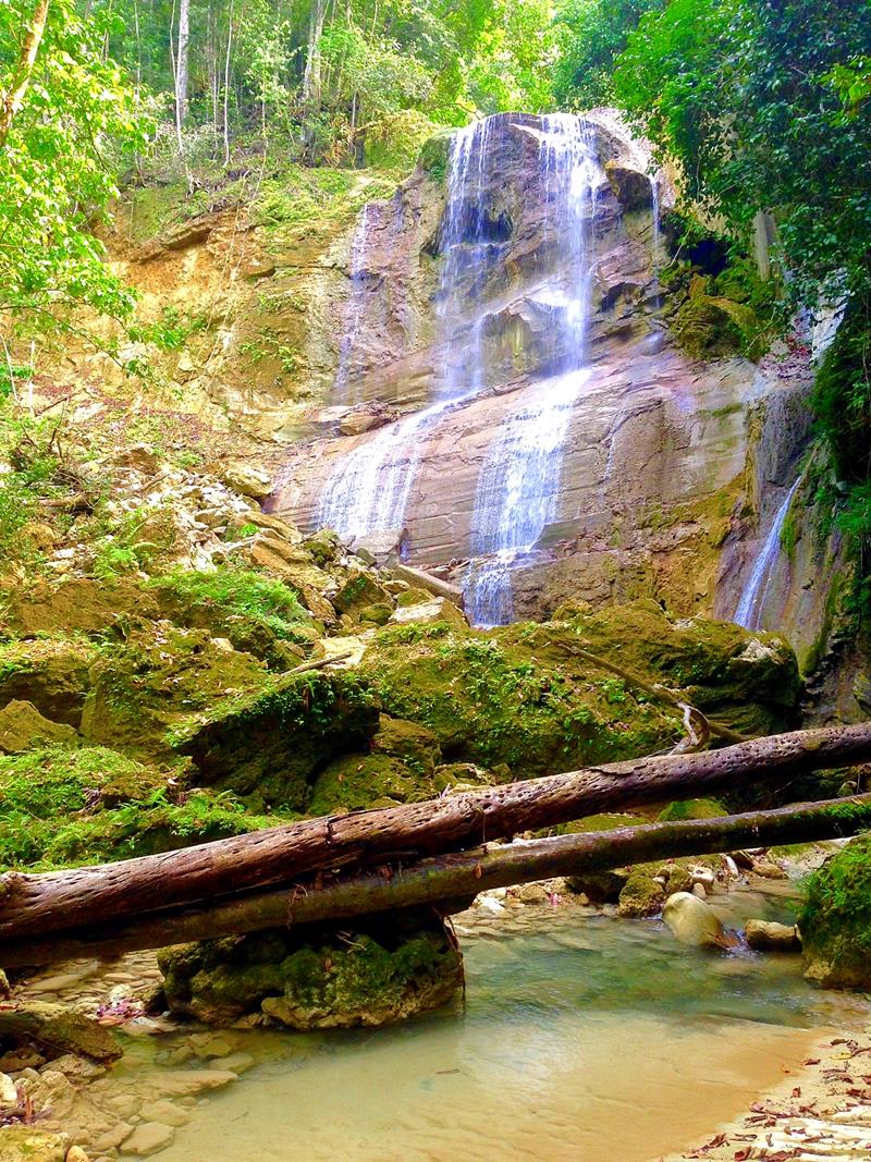 Many hiking trails in the Dominican Republic have magnificent waterfalls, making them some of the best hiking trails in the world.