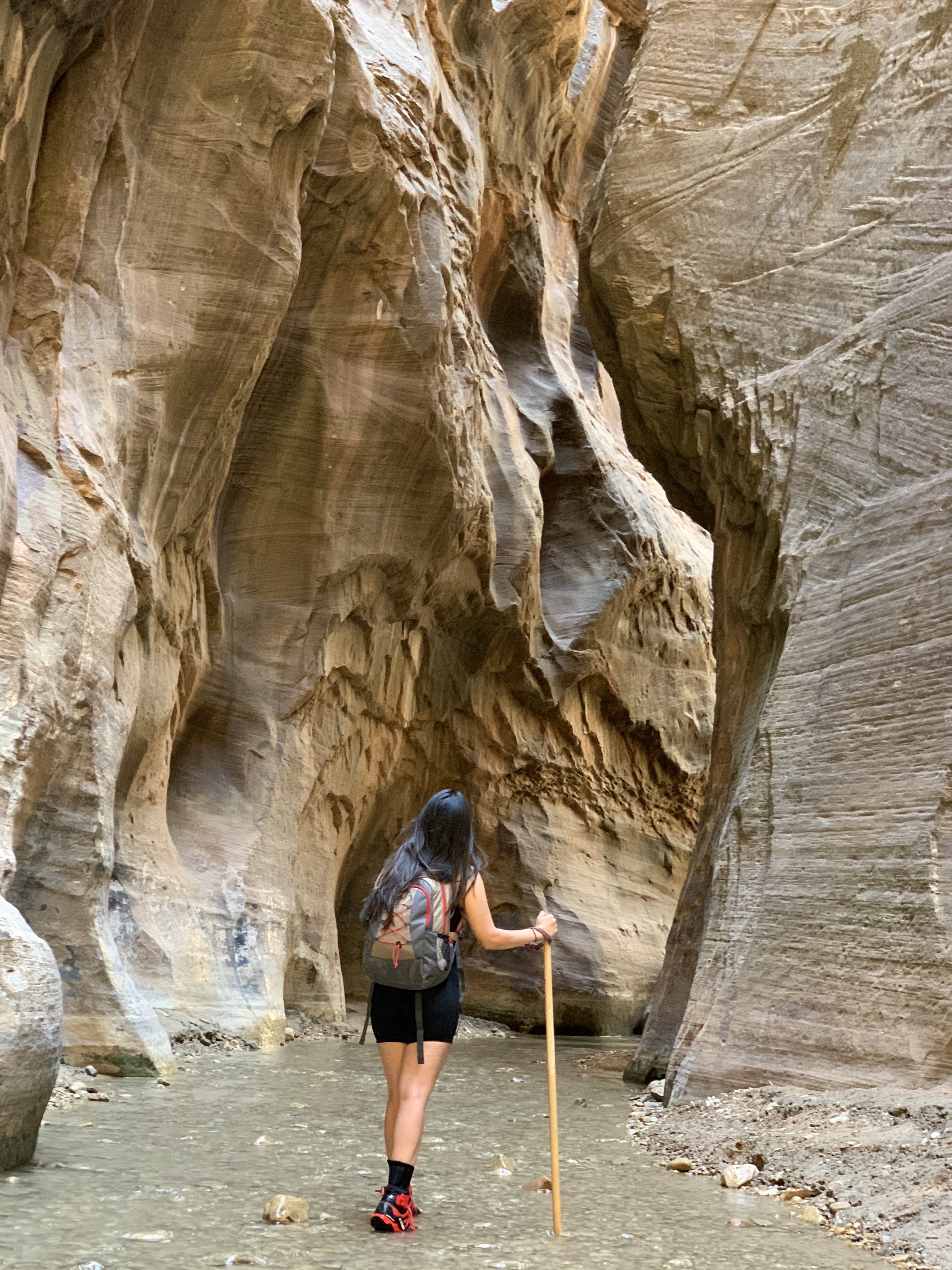 Hiking Zion National Park is definitely a bucket list hike to do