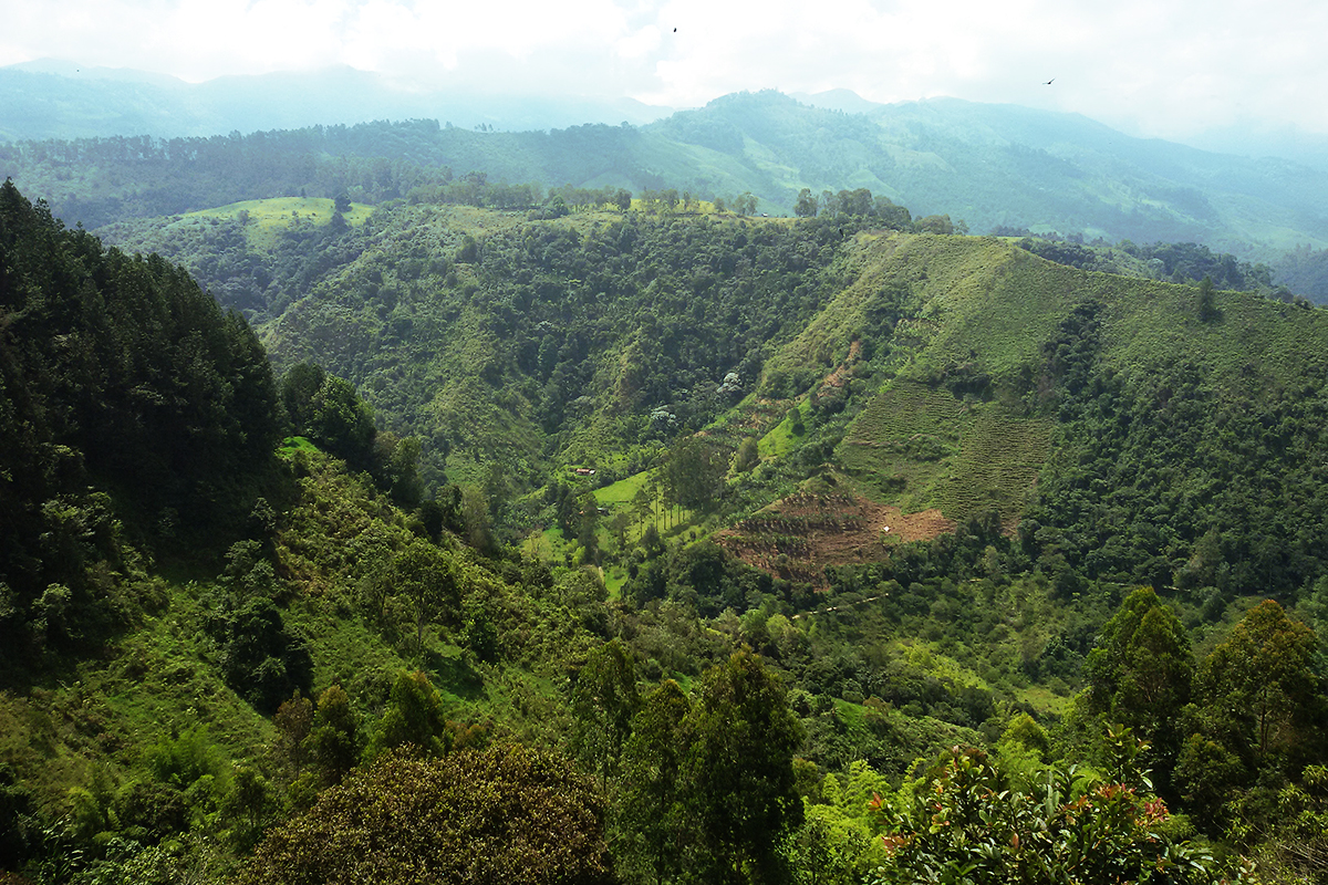 Columbia offers some of the best day hikes in the world