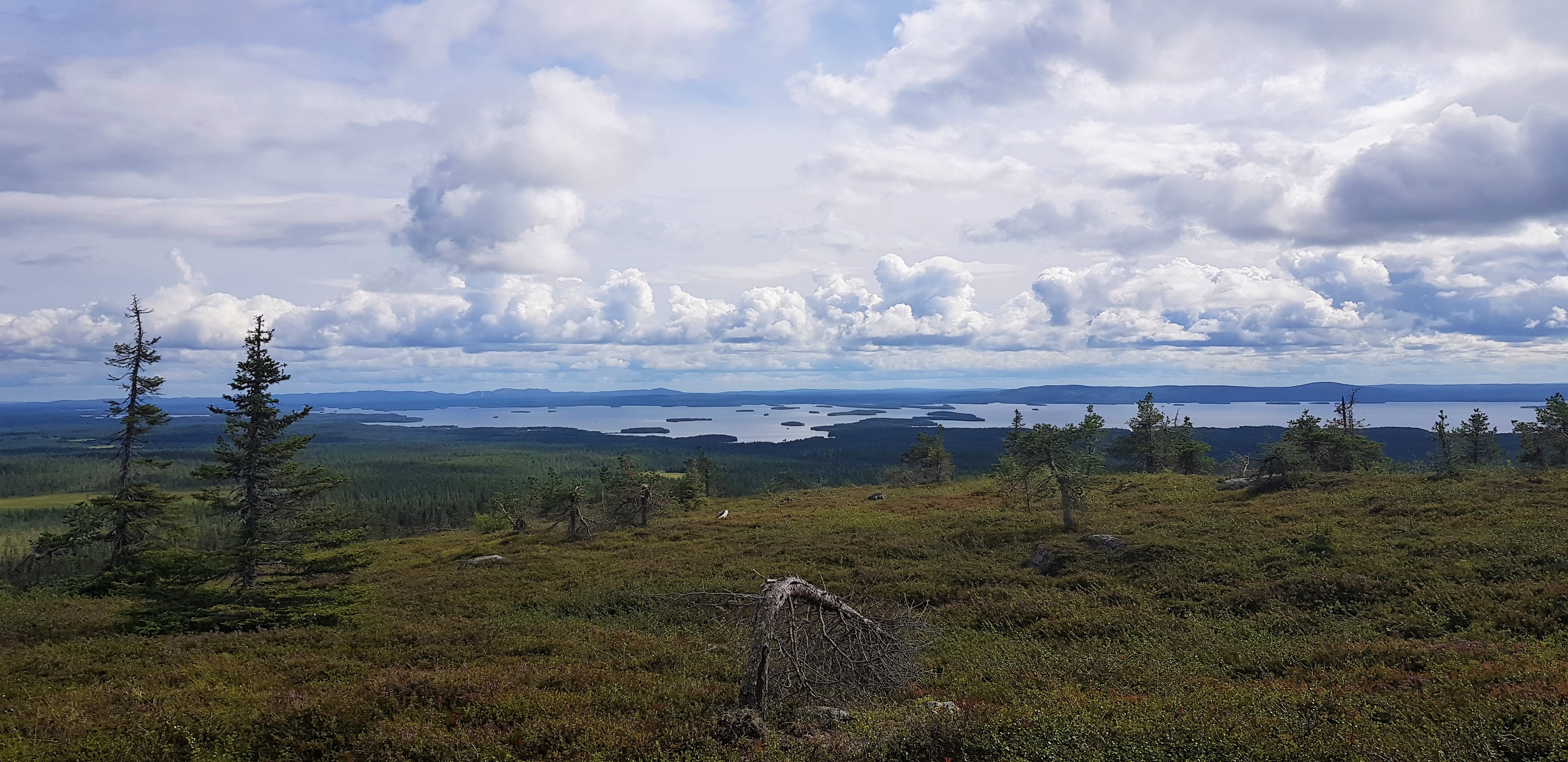 The views when hiking Riisitunturi expand for miles