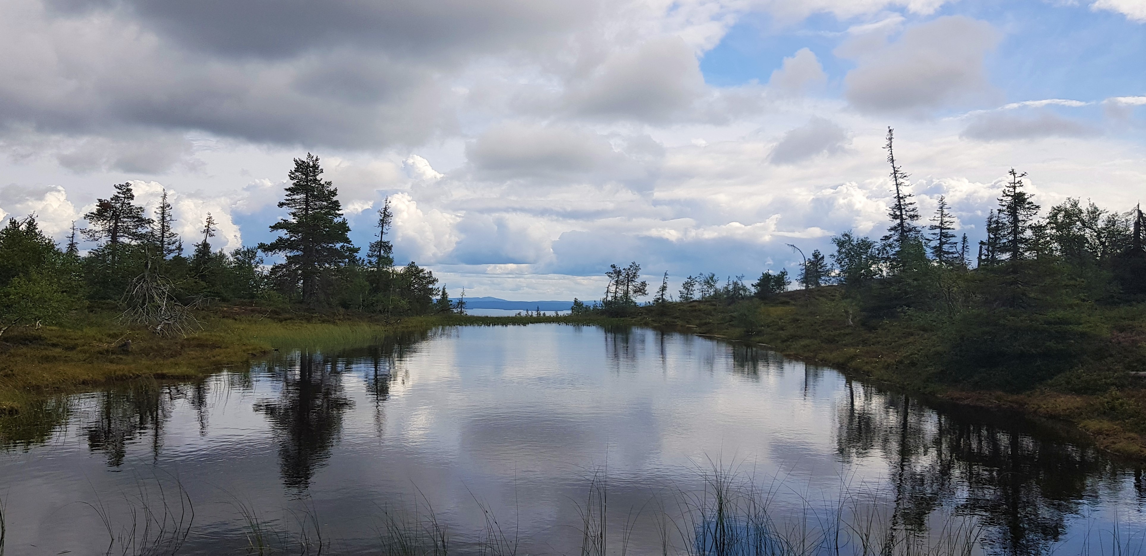 Hiking Riisitunturi National Park is just one of the many things to do when visiting Riisitunturi and is the perfect destination for a day hike.