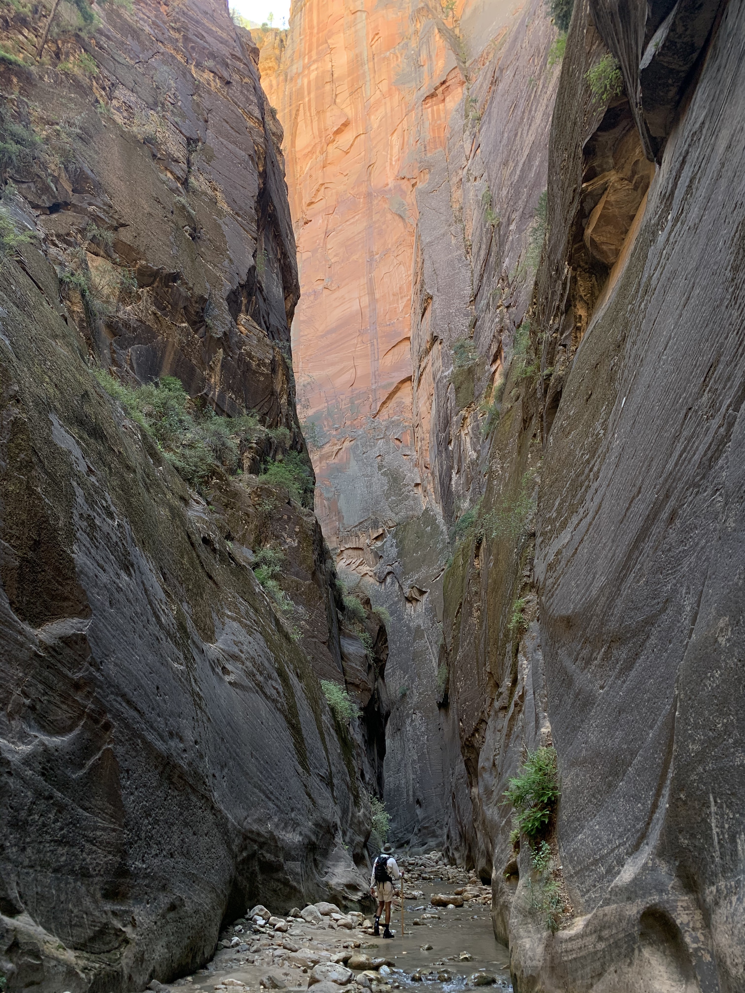 Be cautious of flash flooding when hiking the Narrows at Zion National Park