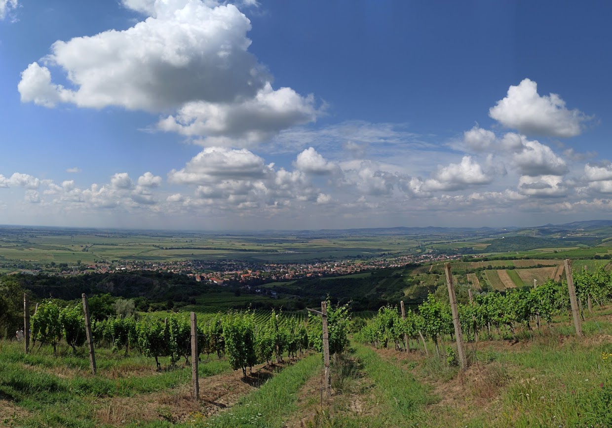 Hiking and wineries are just two of the fun activities to do in the Tokaj Region of Hungary