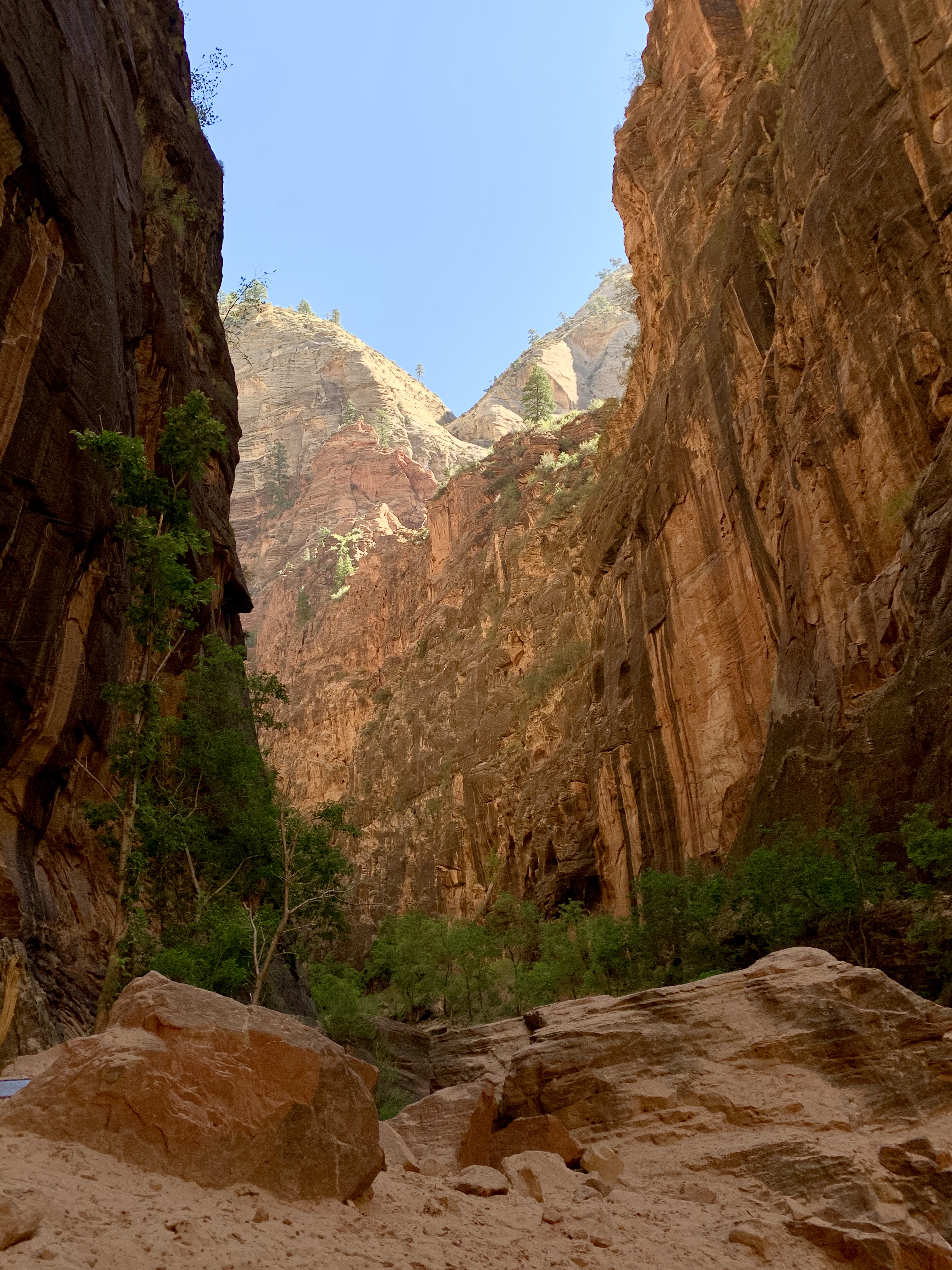 Take in the views of the many rock formations when hiking Zion National Park