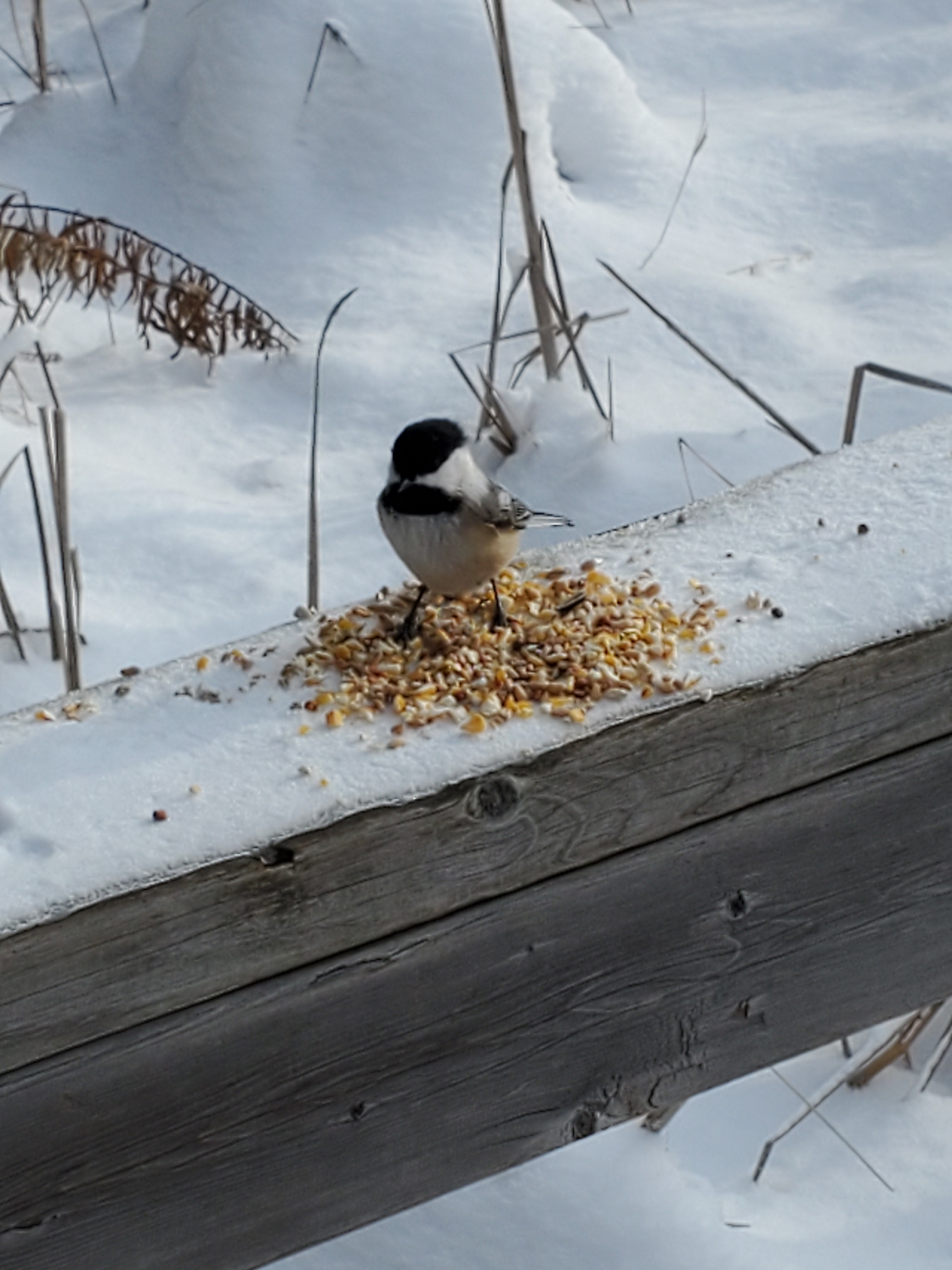 Valen's is open year round for ice-fishing, winter camping and hiking