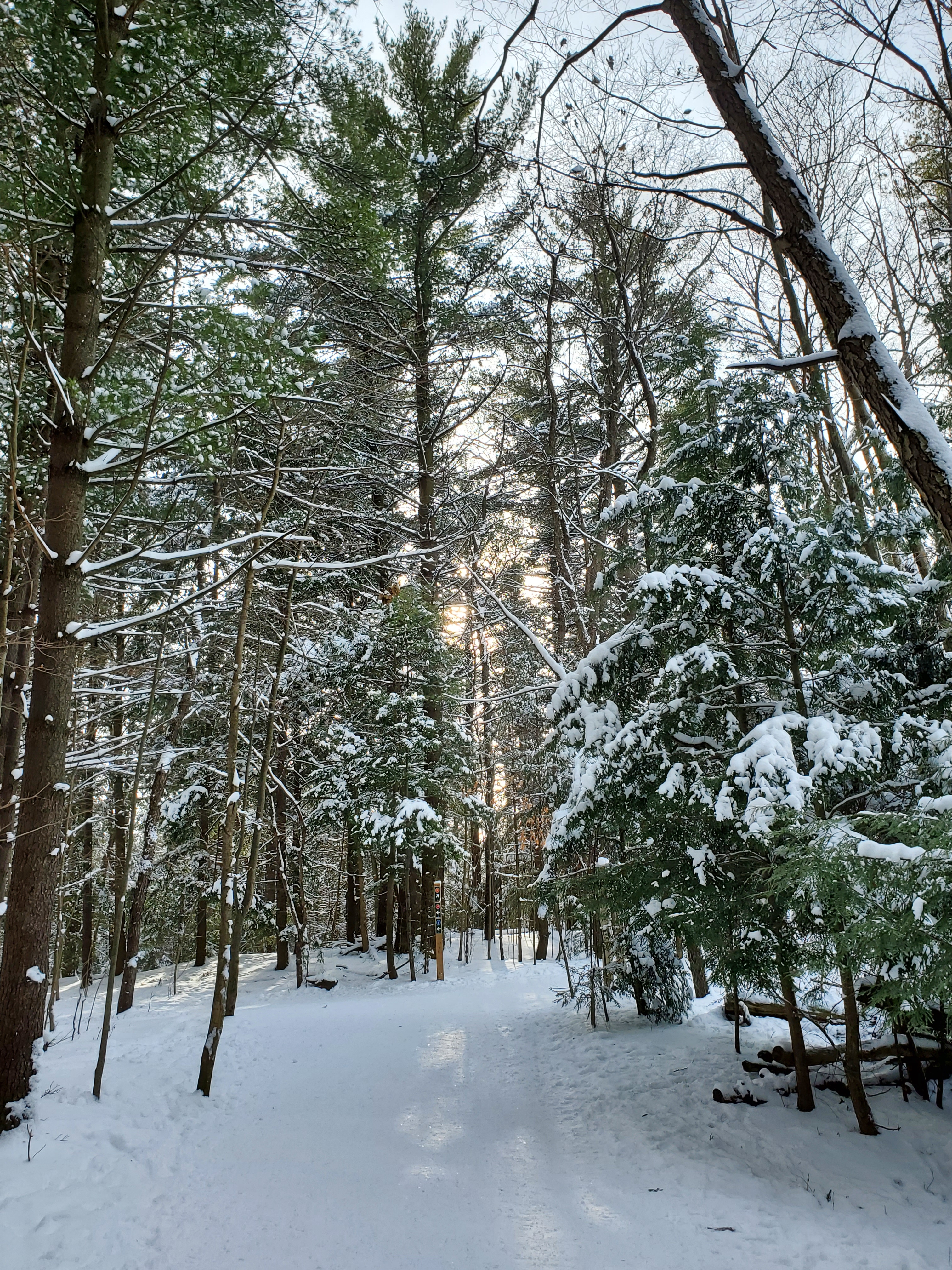 Cross Country skiing is the perfect way to spend the day at Valen's Conservation Area during the Winter months.