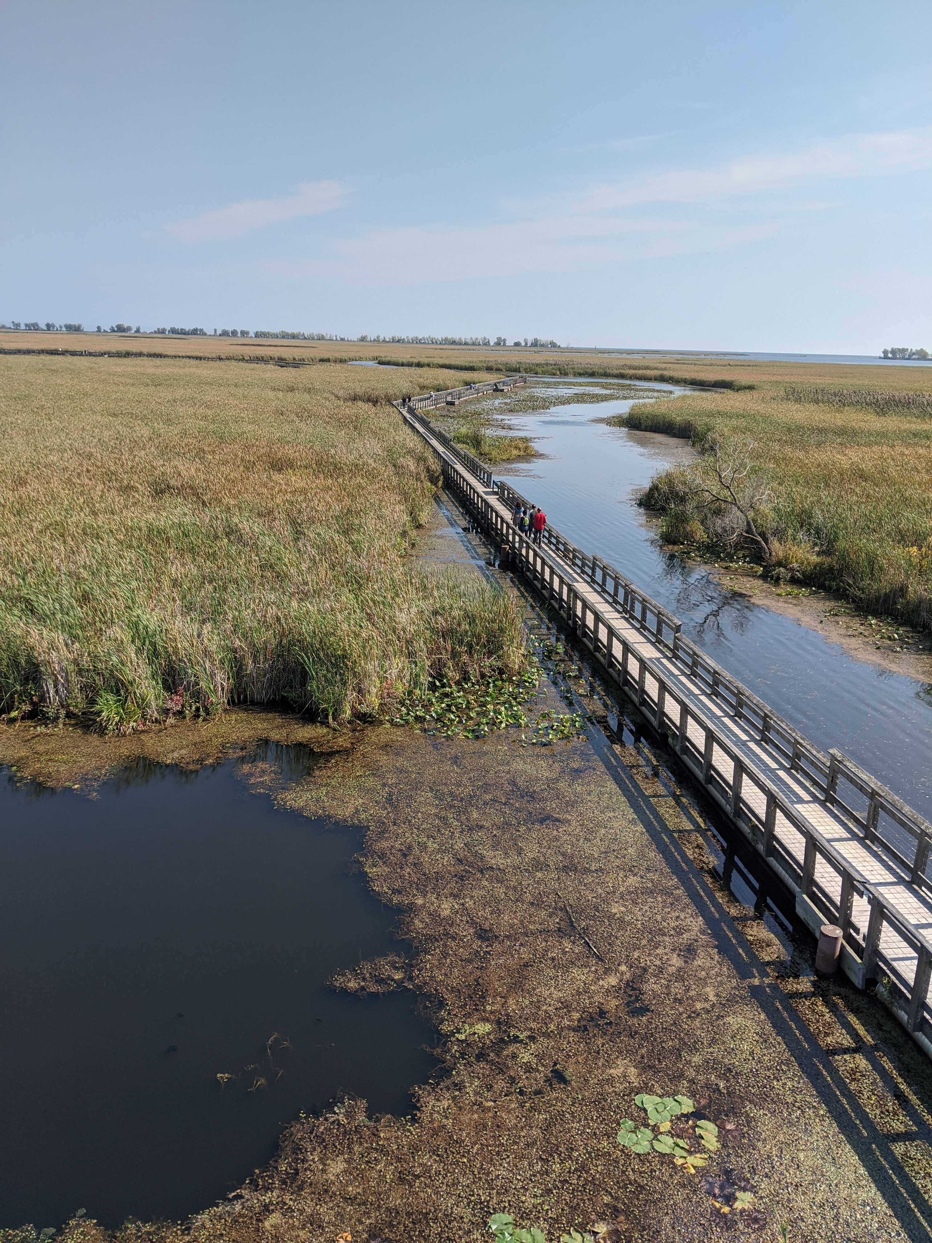 A road trip to Point Pelee National Park in Canada's South is the perfect Ontario road trip destination for those seeking adventure.