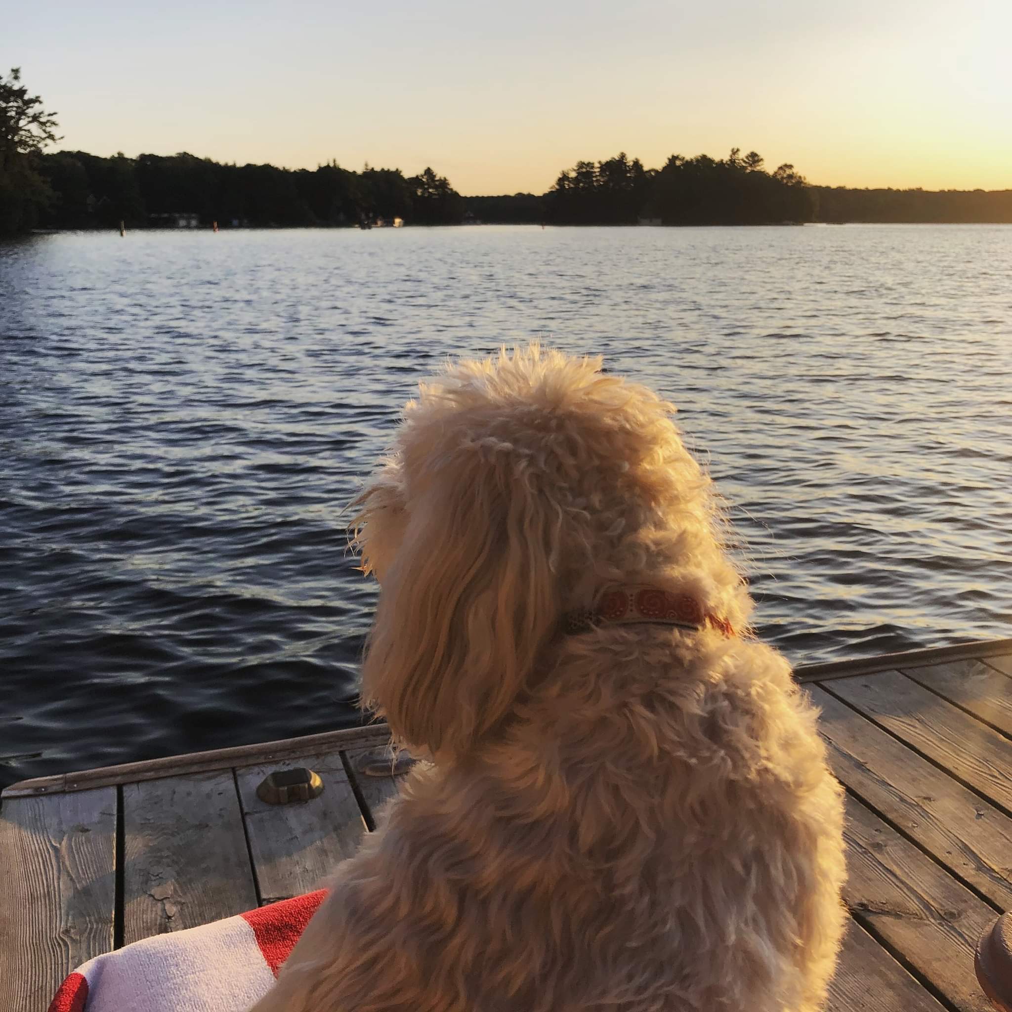 Muskoka is also known as Ontario's cottage country and it is the perfect road trip destination in Ontario for those who love nature