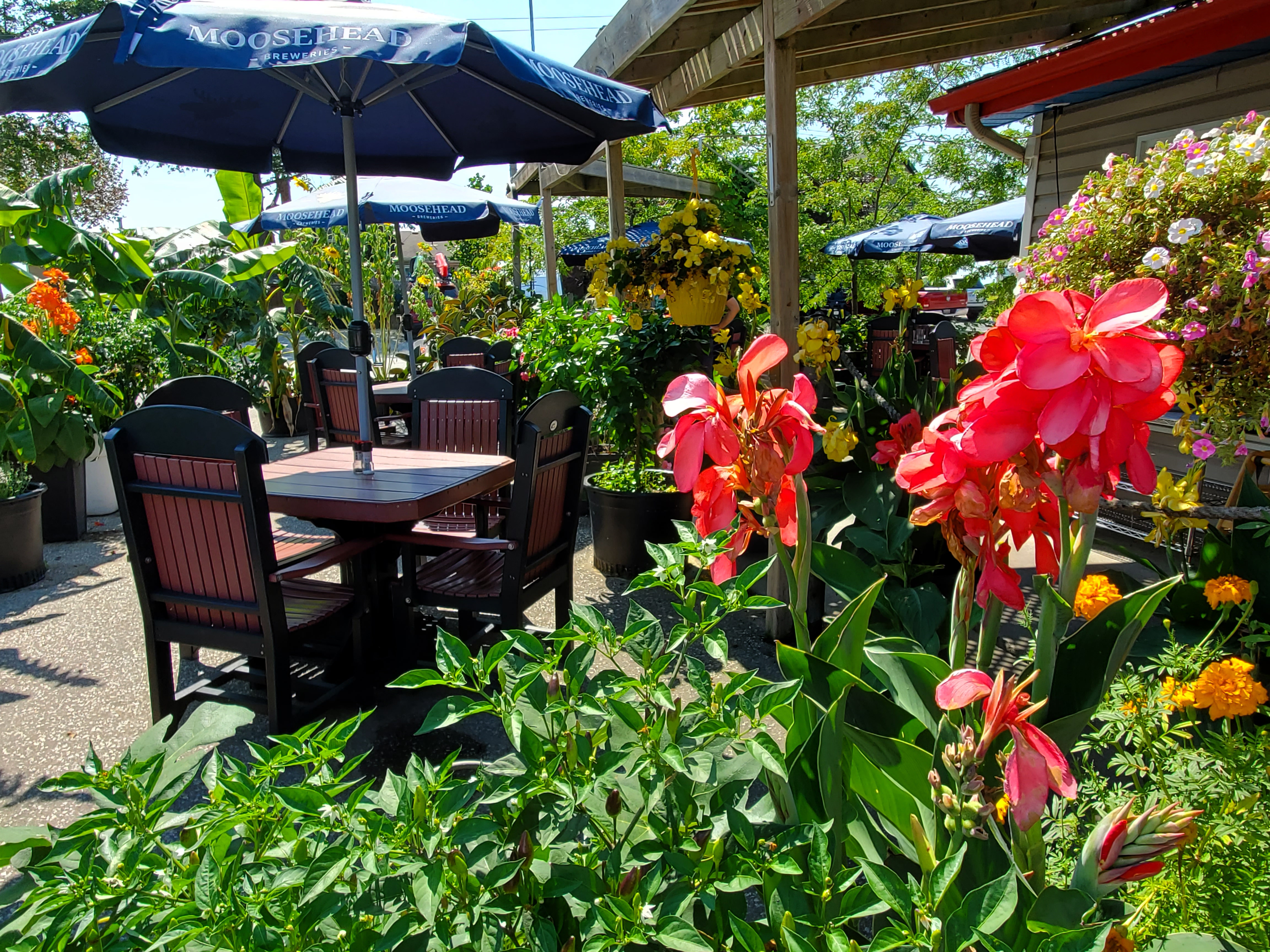 Freddy's Restaurant outside of Point Pelee National Park offers a tropical atmosphere and great hamburgers during the summer months.