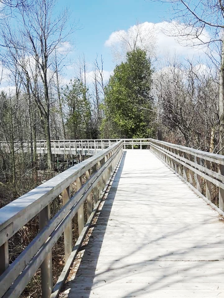 Enjoy 7 km of hiking trails at Huron Natural Area in Kitchener, Ontario