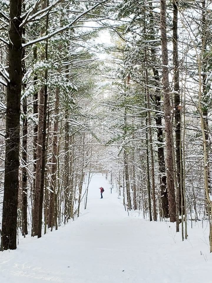 A Guide to winter hiking and everything  you need to know when visiting Canada in the Winter