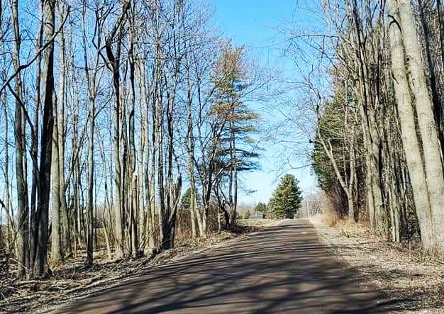 Cruise the Coast, the Perfect Ontario Road Trip