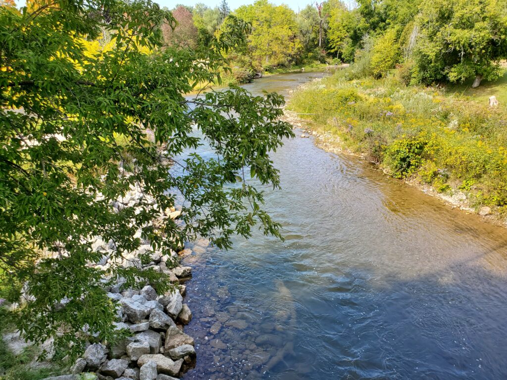 hiking along the Credit River in Glen Williams