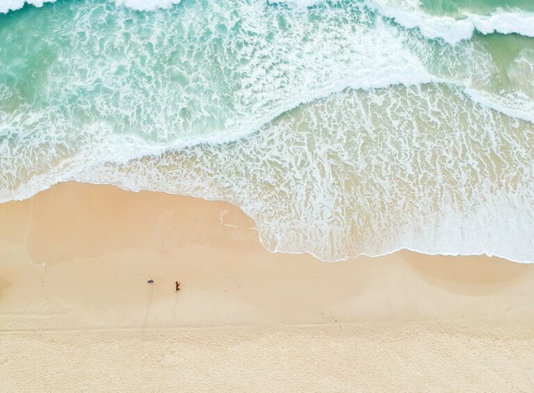 Essentials for the Perfect Beach Day