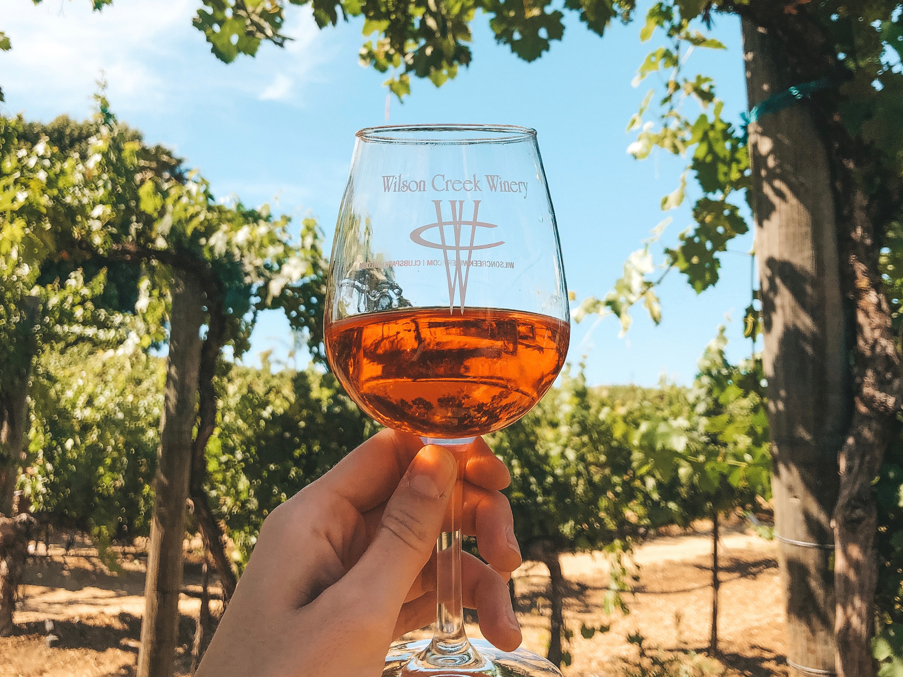 Wine tasting makes Temecula one of the best summer destinations for the female solo traveller