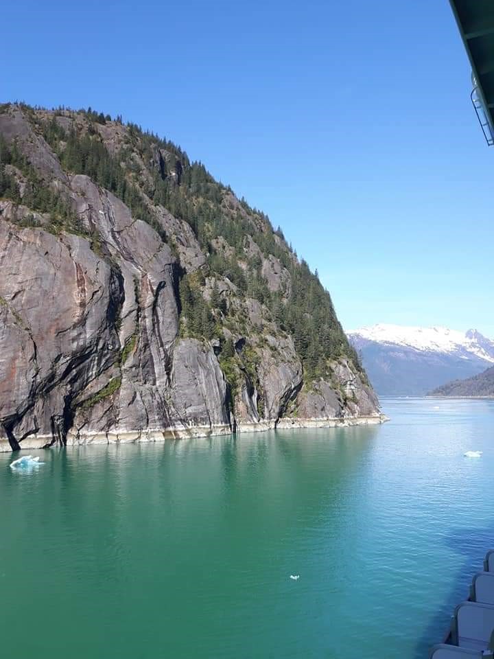 Tracy Arm Fjord is a deep narrow fjord and is part of the vast Tracy Arm-Fords Terror Wilderness in Alaska, accessible by boat.