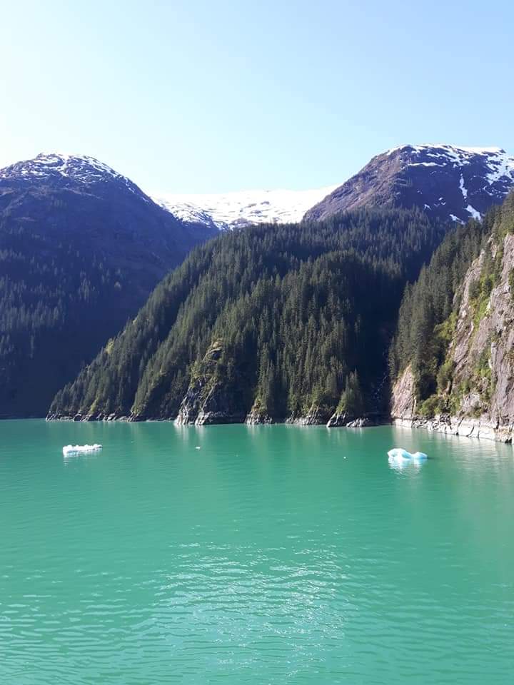 The air is filled with the sound of the calving ice in the Tracy Arm Fjord.