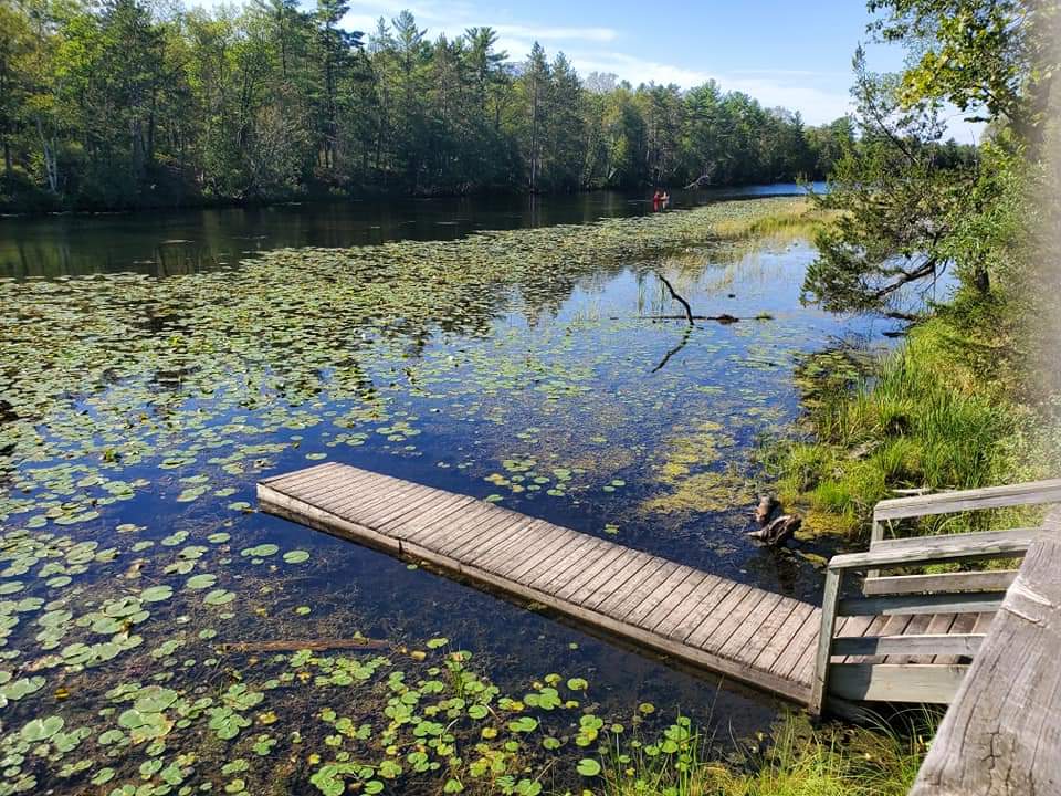 Hike a trail or rent a kayak is one of the many things to do in Grand Bend (other than swim) when your by yourself