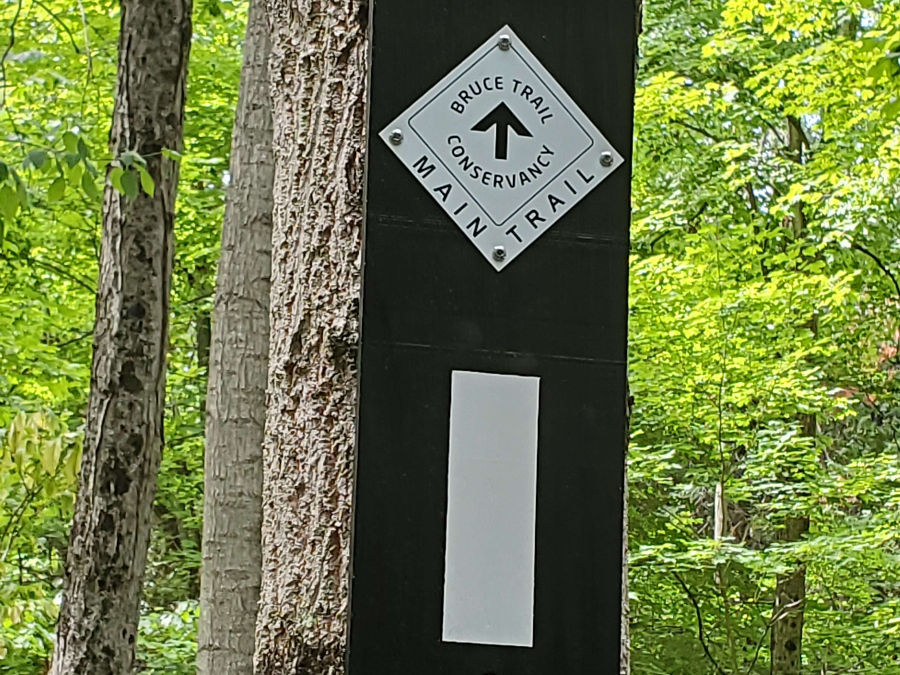 Follow the colour of your trail when hiking Rattlesnake Point so you don't get lost