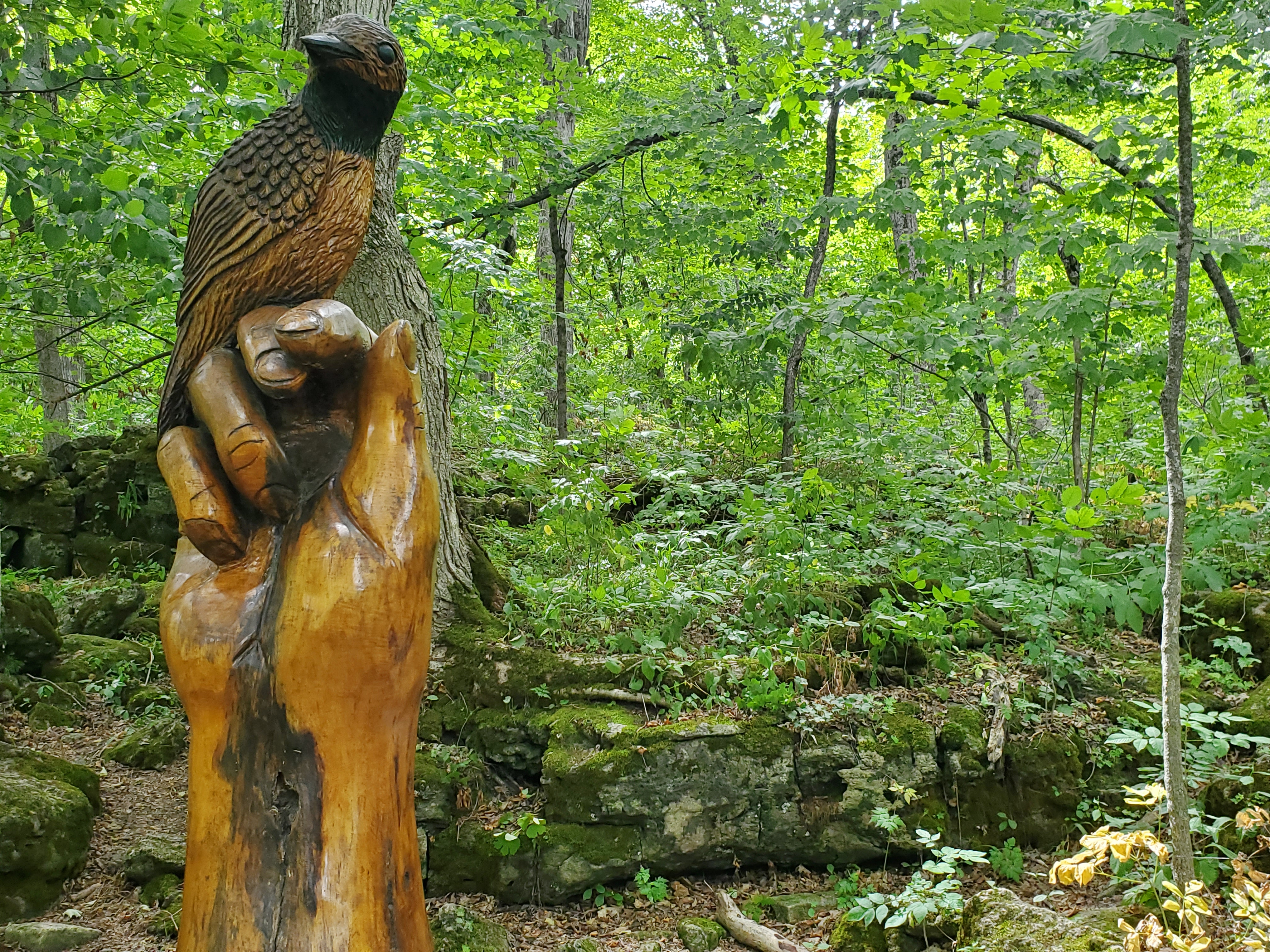 You will see sculptures when you are at Crawford Lake Conservation Area