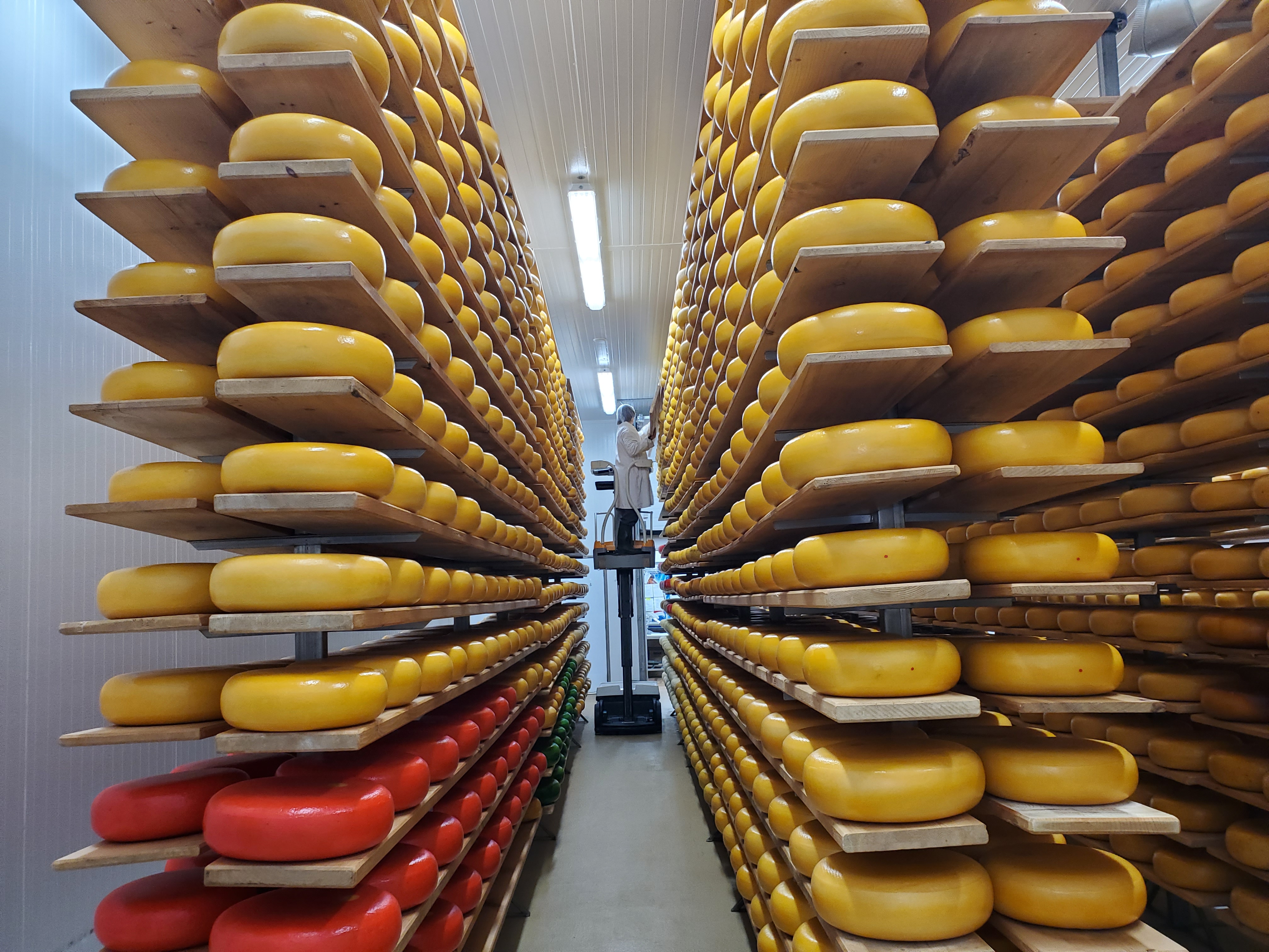 Visit Mountain Oak Cheese in New Hamburg for some great cheese and learn a bit of history from the owners.