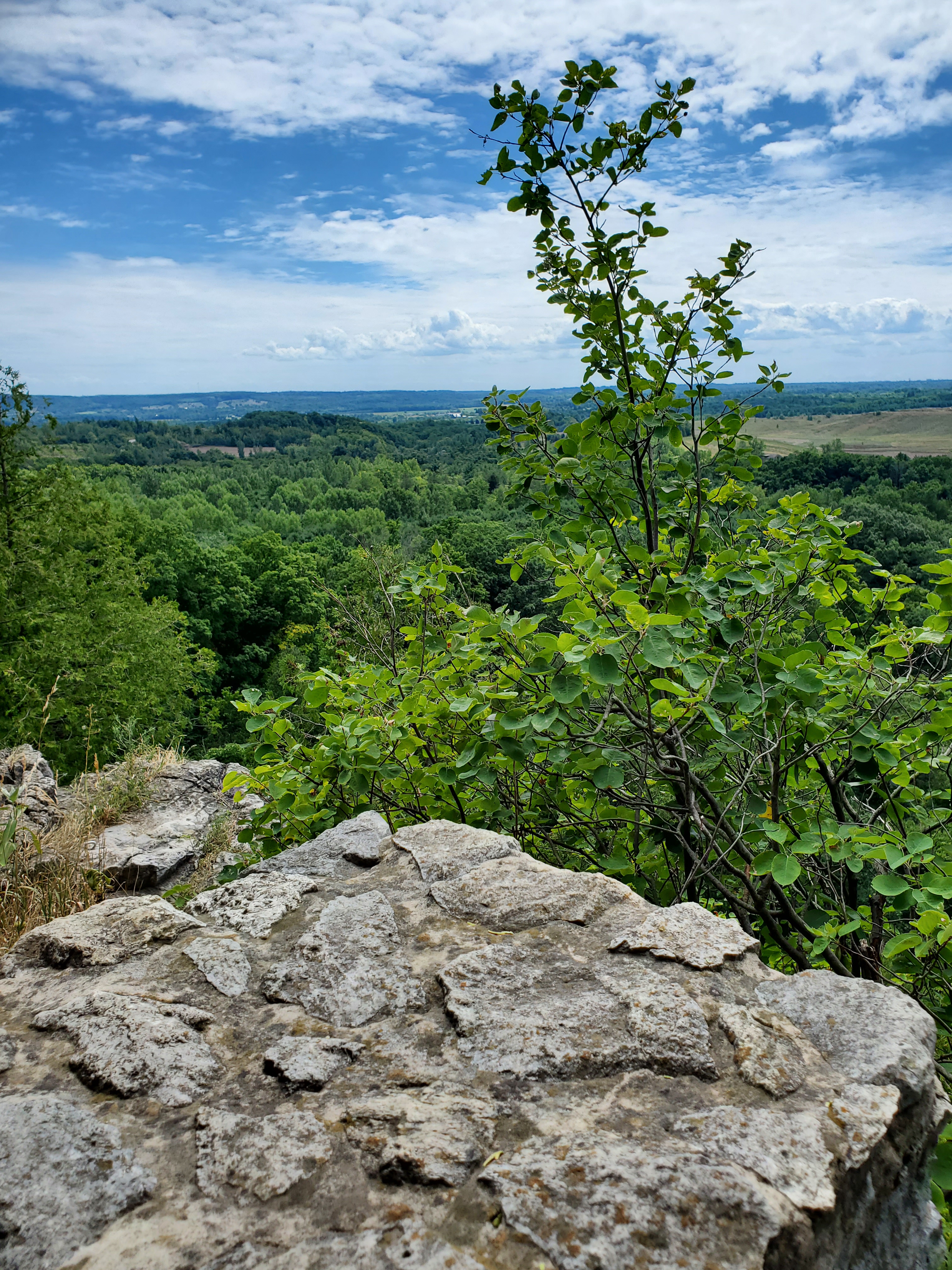 Rattlesnake Point in Ontario, Canada is one of the best day hikes around the world, but bring a compass and lots of water.