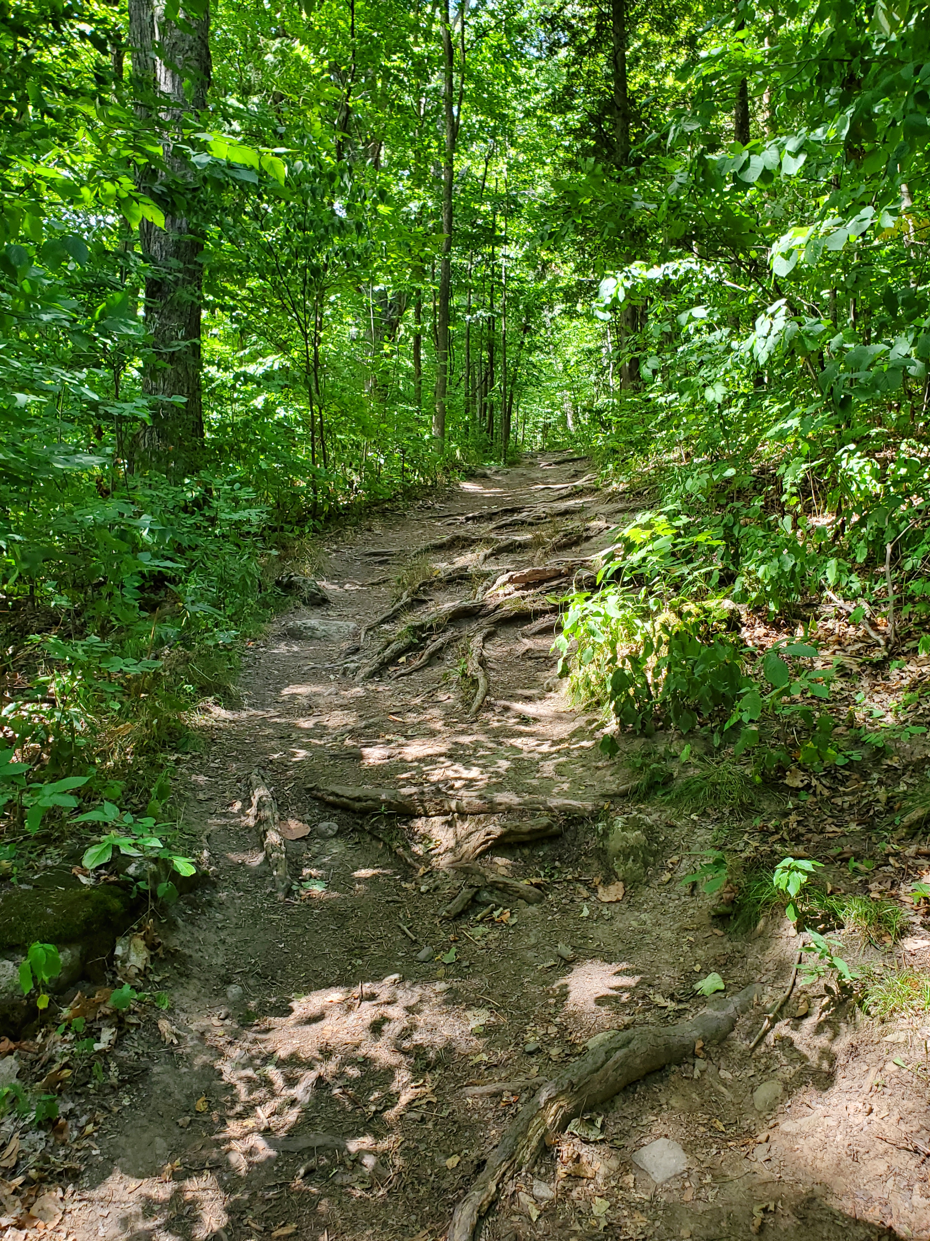 The Nassagaweya Trail at Rattlesnake Point has elevation gains of 230 meters.