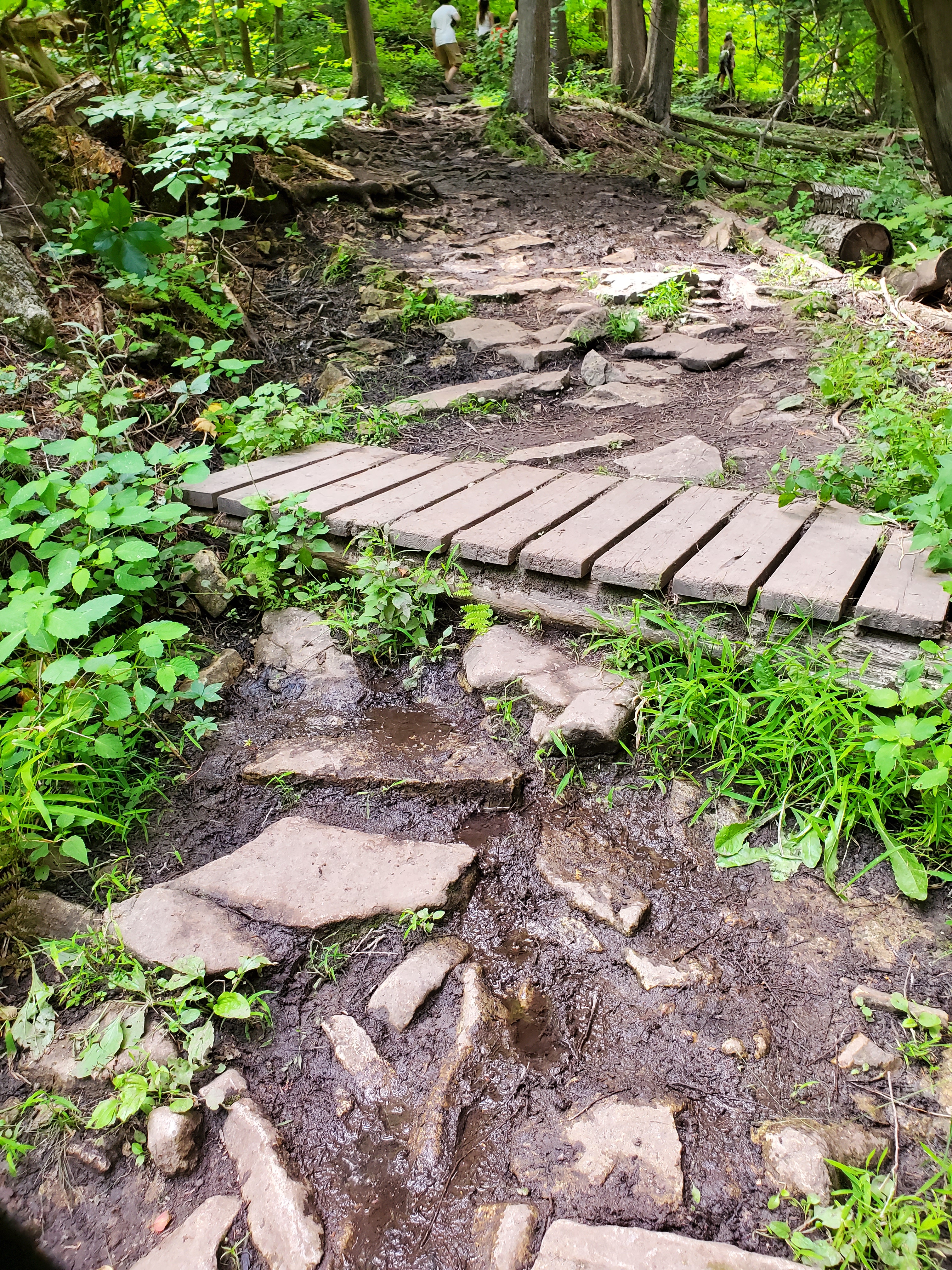 The terrain at Nassagaweya Canyon Trail is rough making it a more challenging trail, geared towards experienced hikers