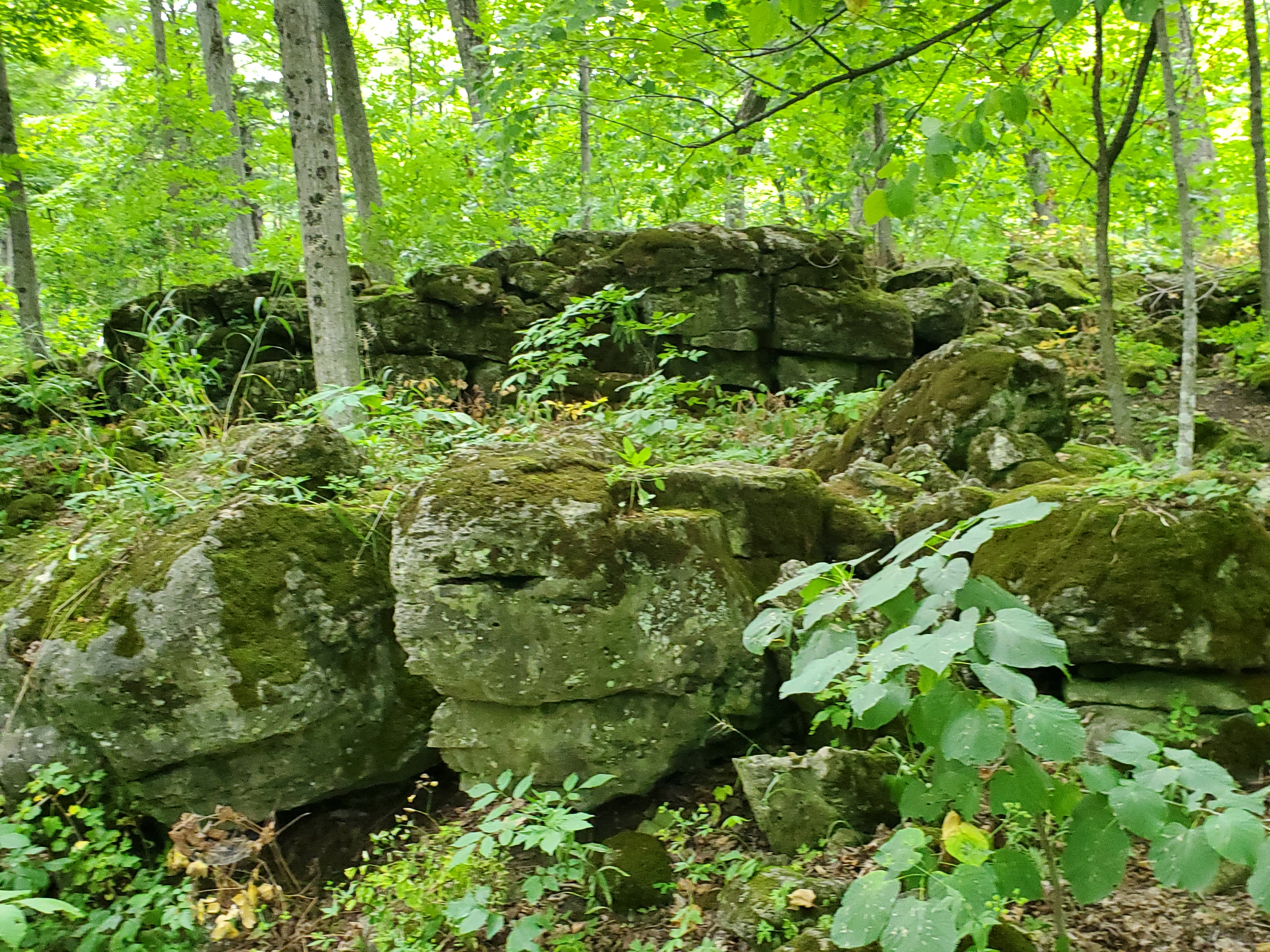 The Nassagaweye Canyon Trail at Rattlesnake Point has a very rocky terrain.  Hiking boots are recommended