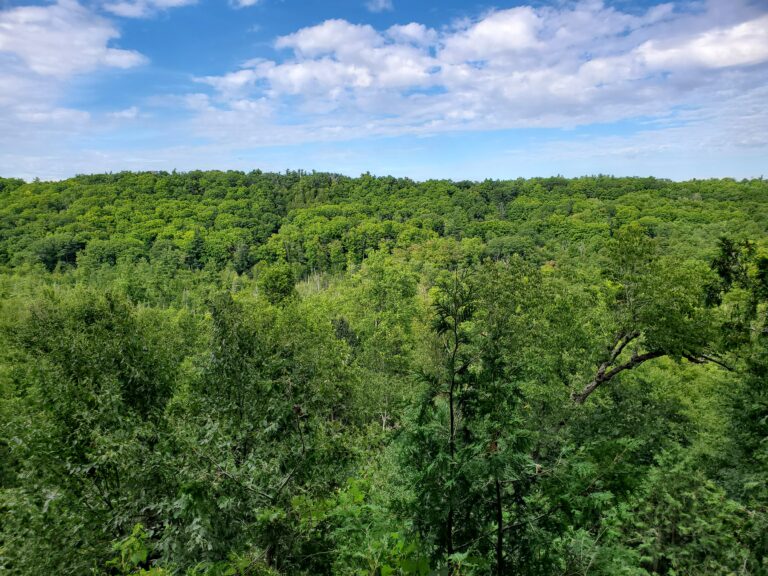 Lost At Rattlesnake Point