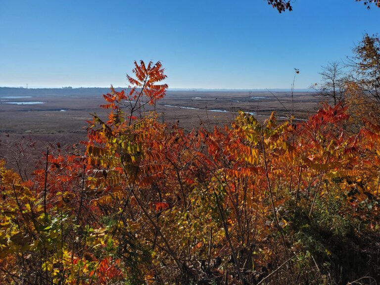 7 Life Changing Benefits of Hiking Solo